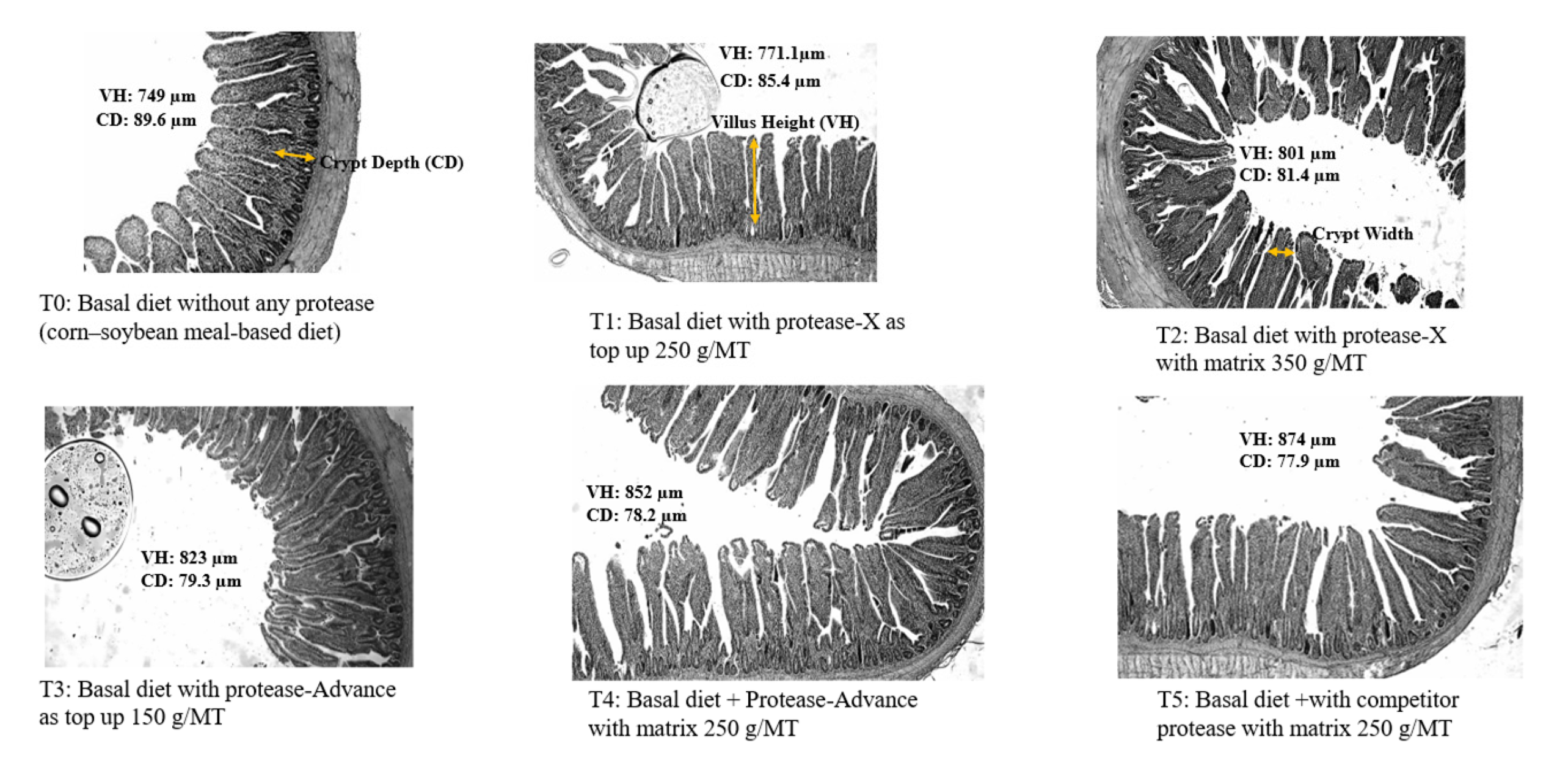 Preprints 181706 g004