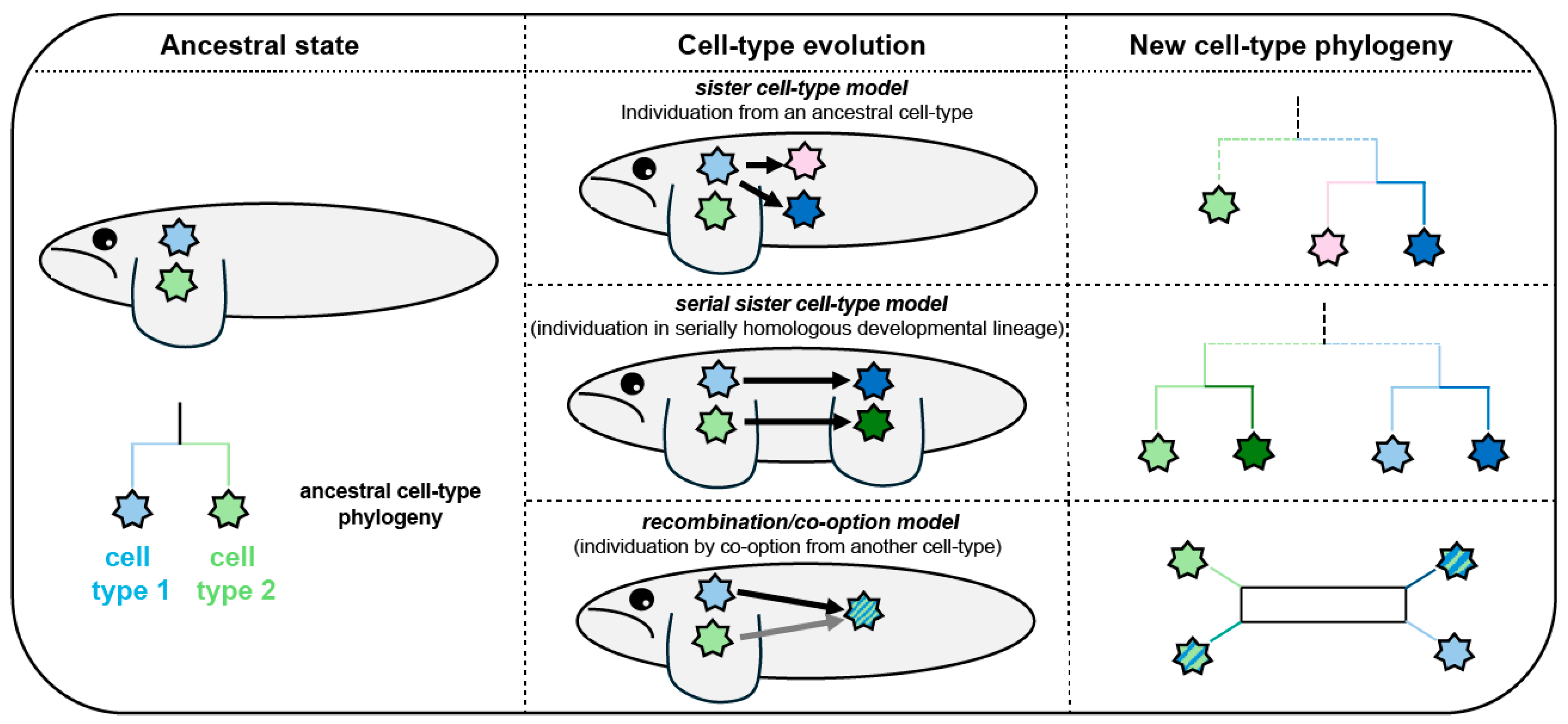 Preprints 218153 g001