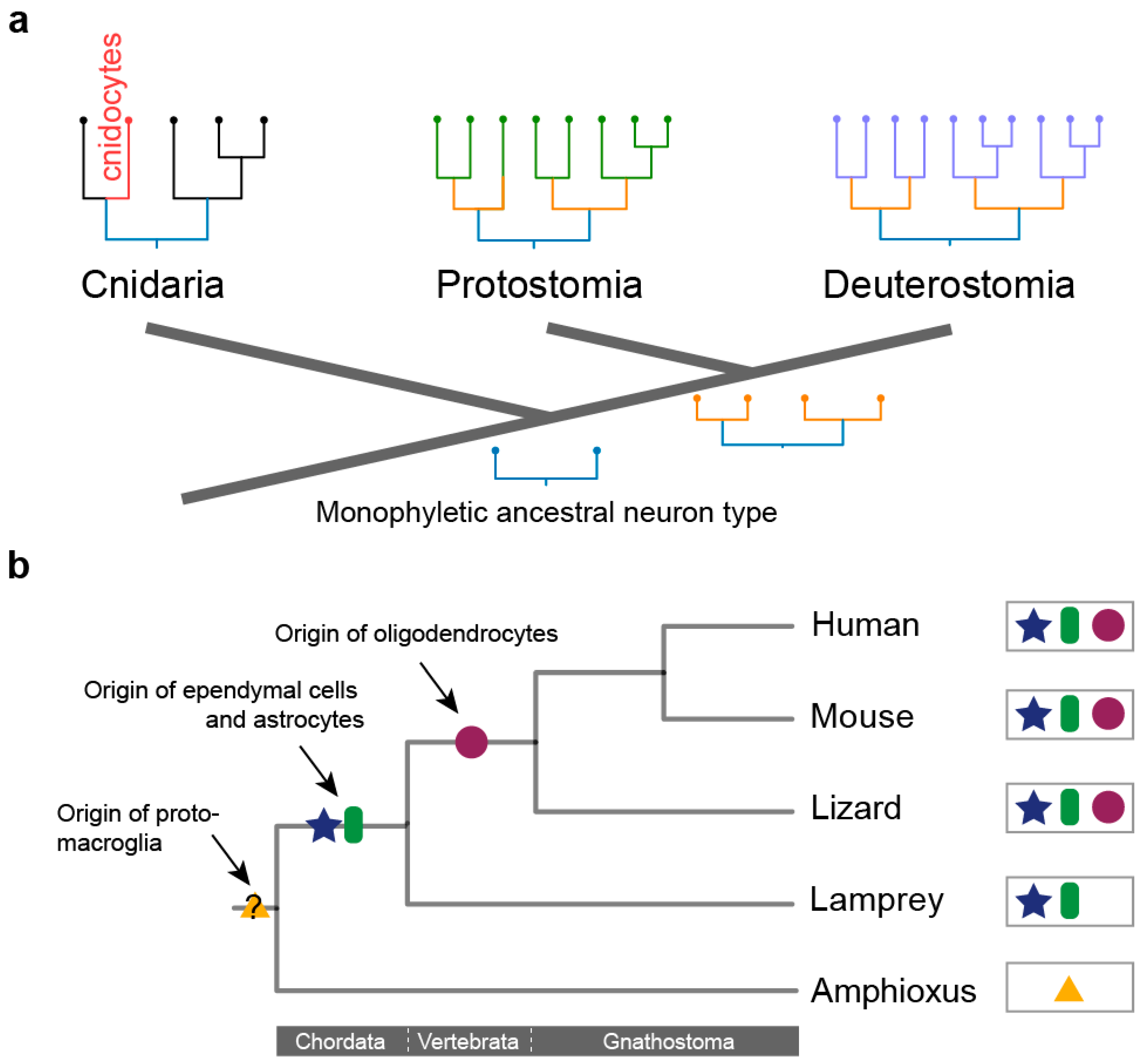 Preprints 218153 g002