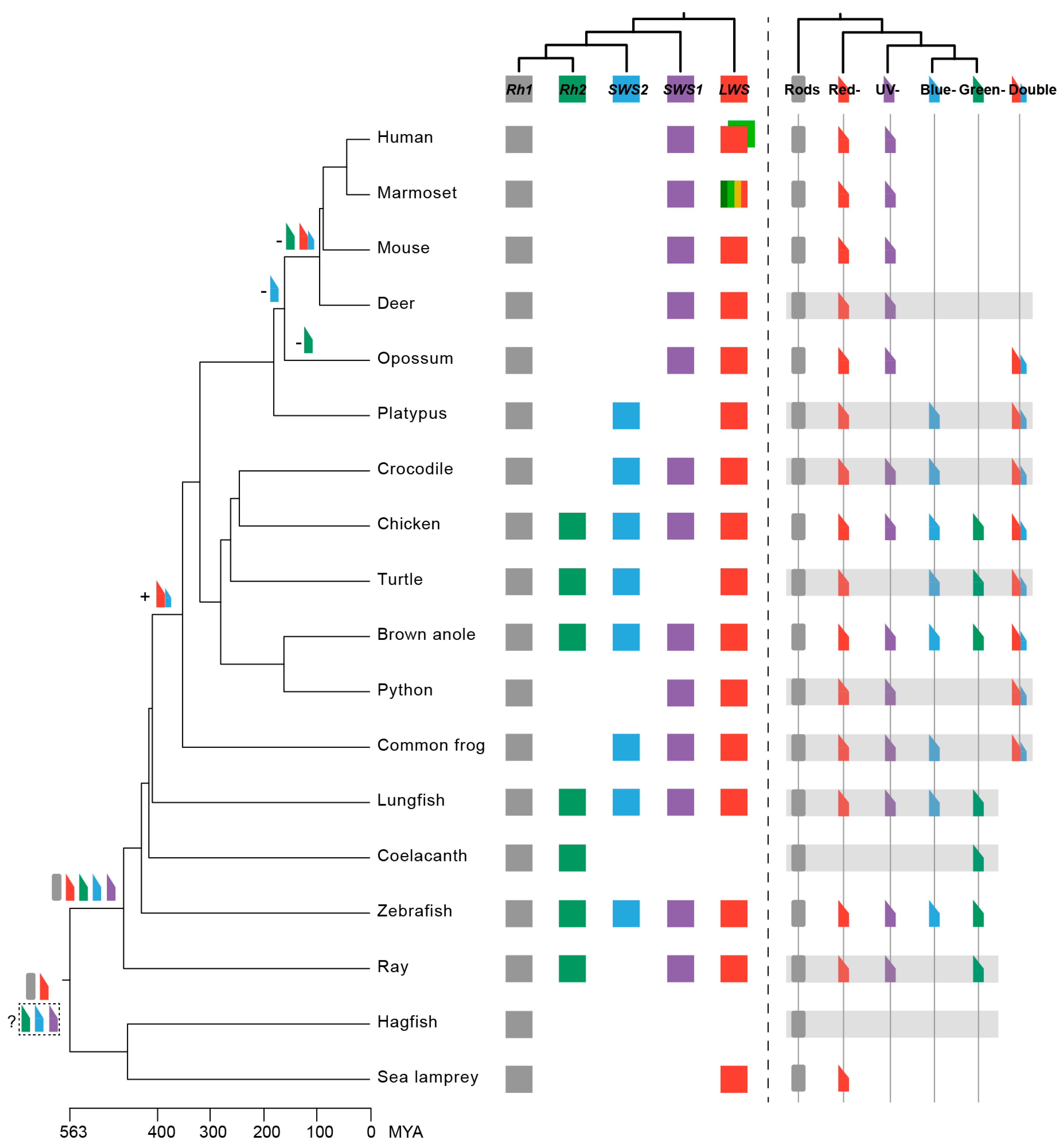 Preprints 218153 g003