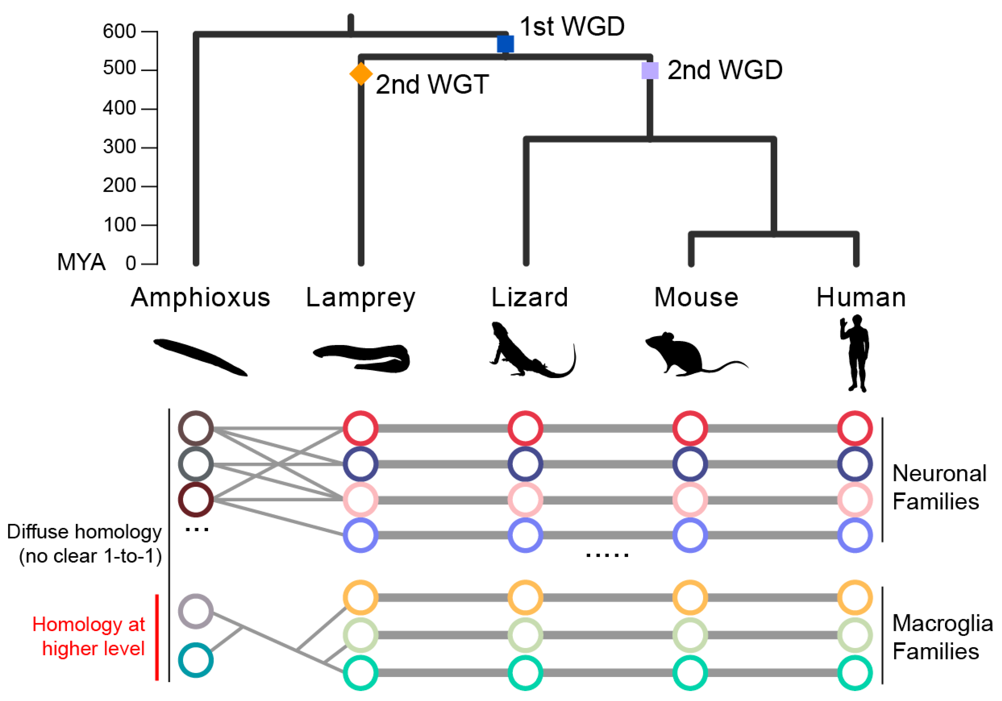 Preprints 218153 g004