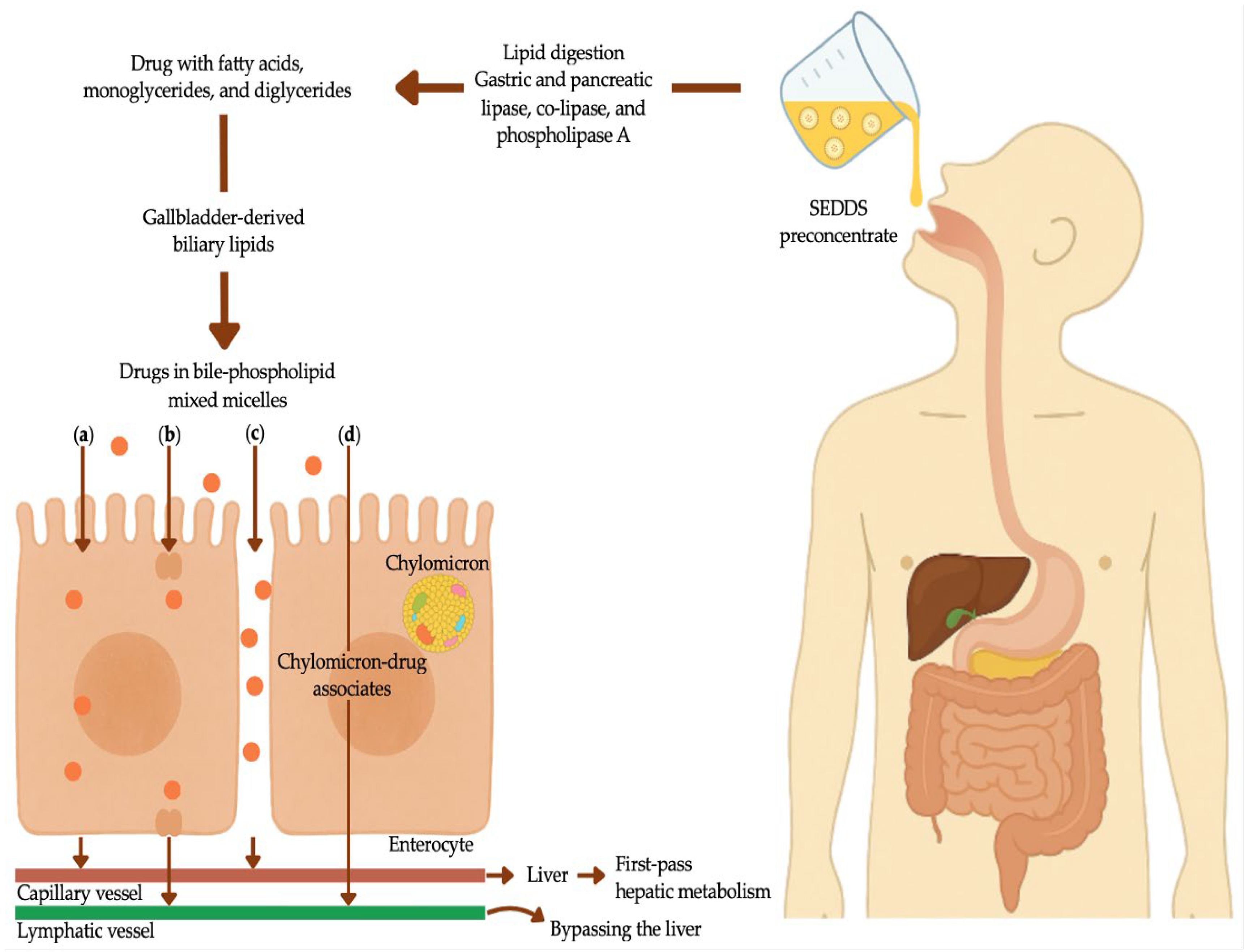 Preprints 188848 g004