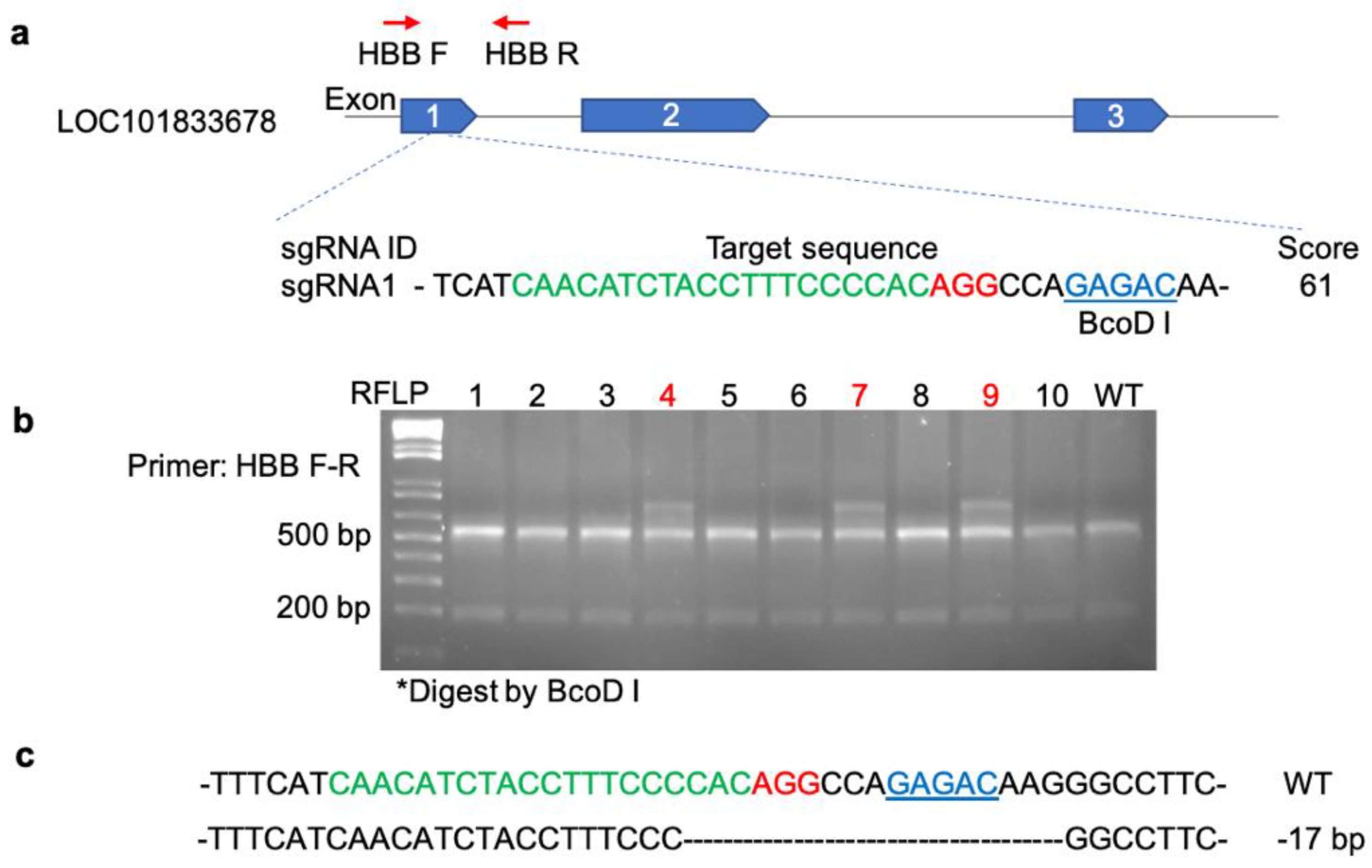 Preprints 158727 g001