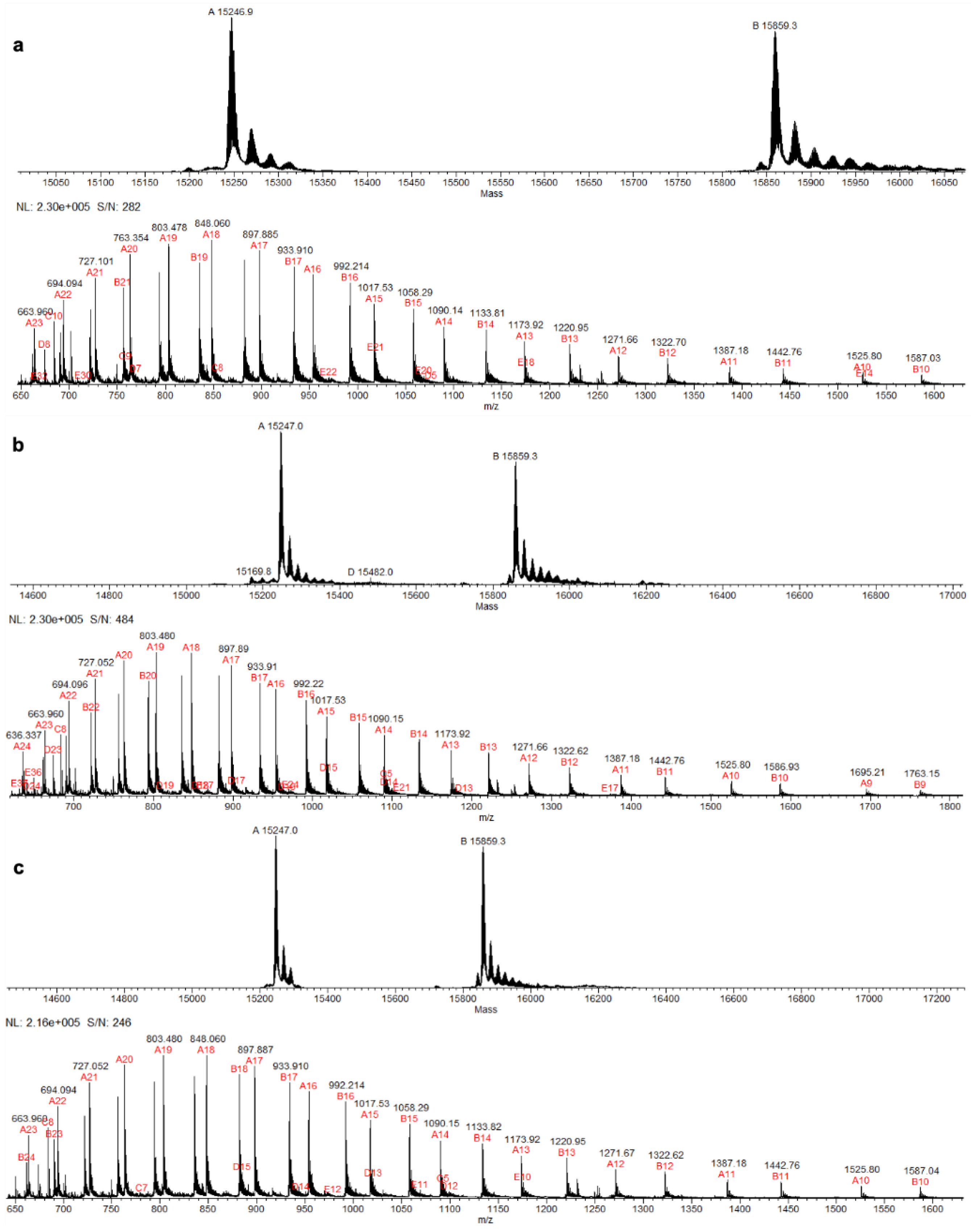 Preprints 158727 g002