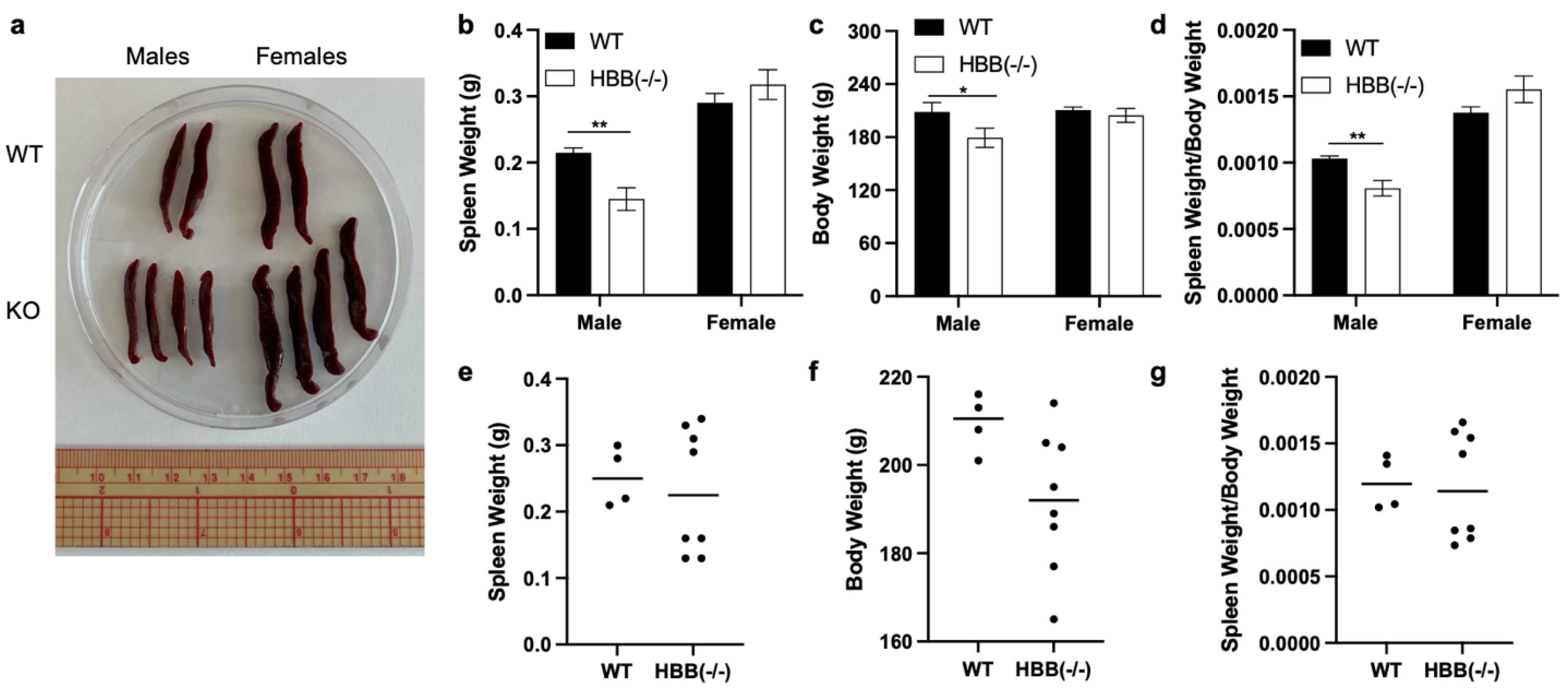 Preprints 158727 g007