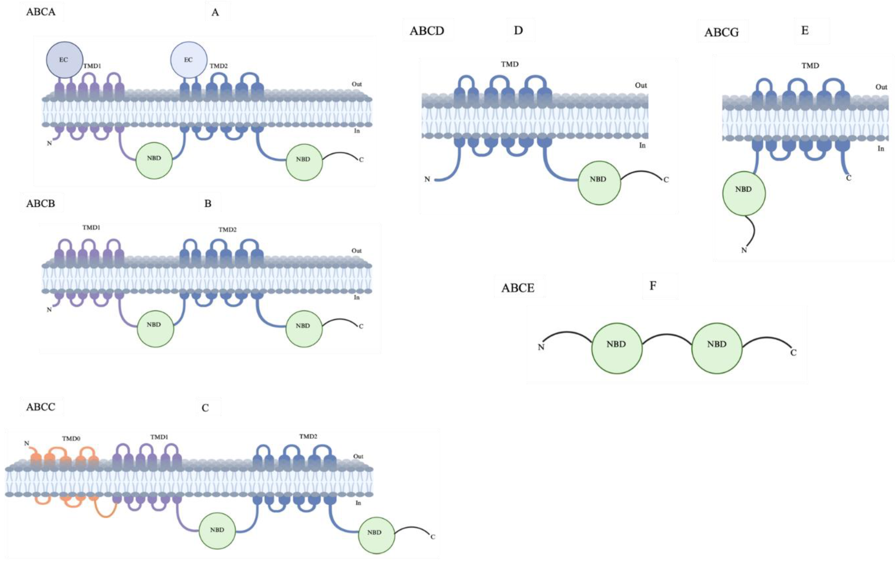 Preprints 140496 g002