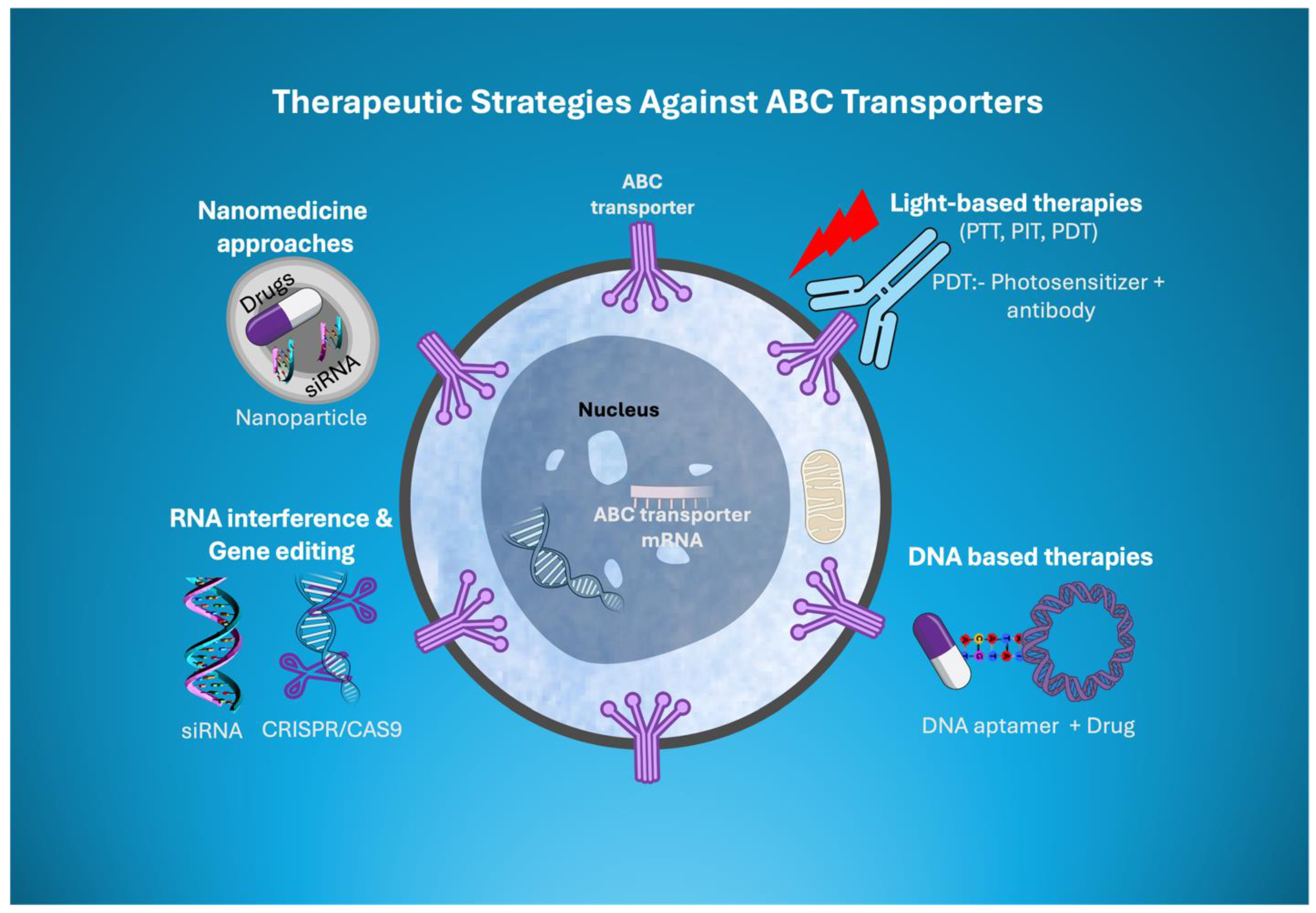 Preprints 140496 g004