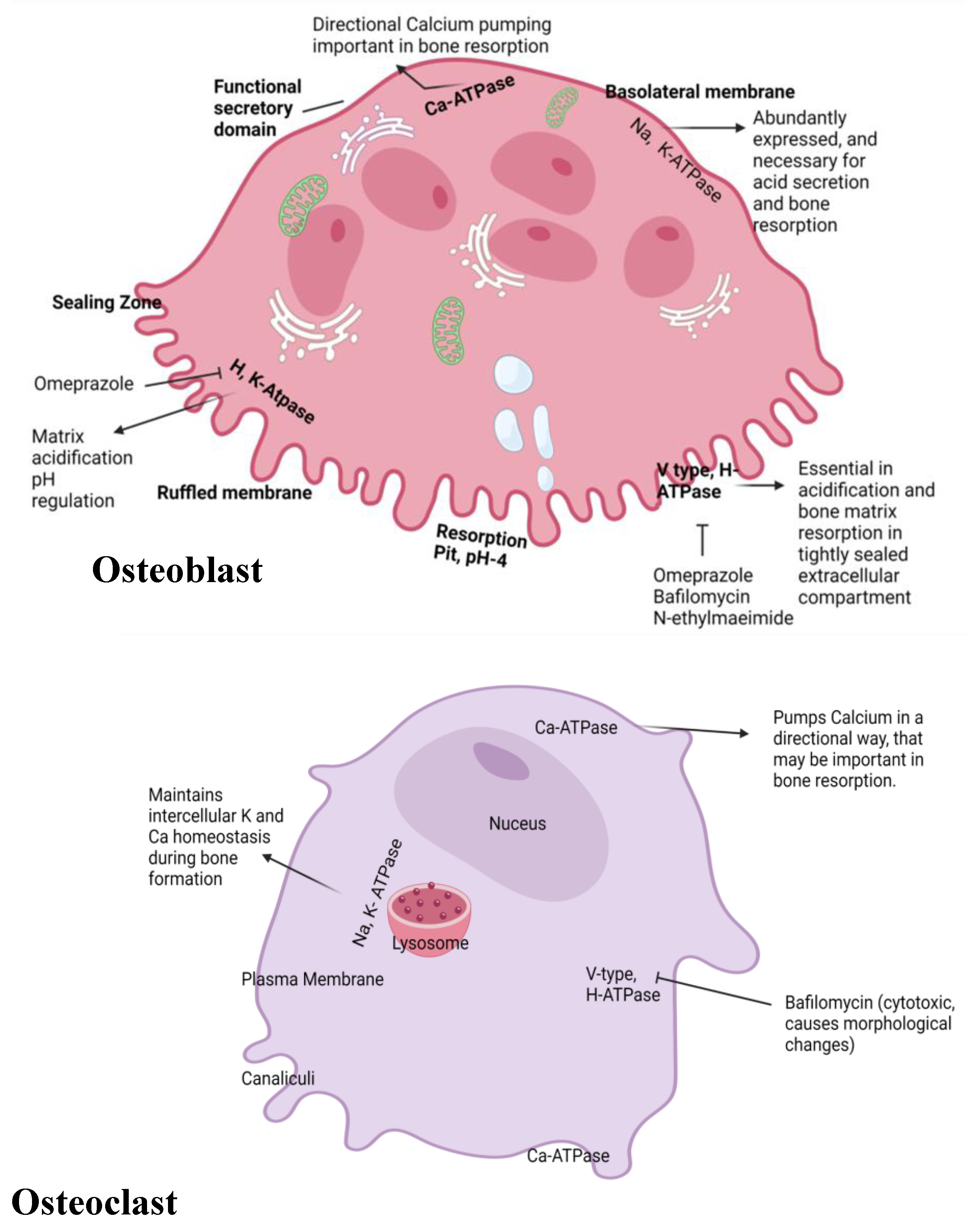Preprints 173319 g001