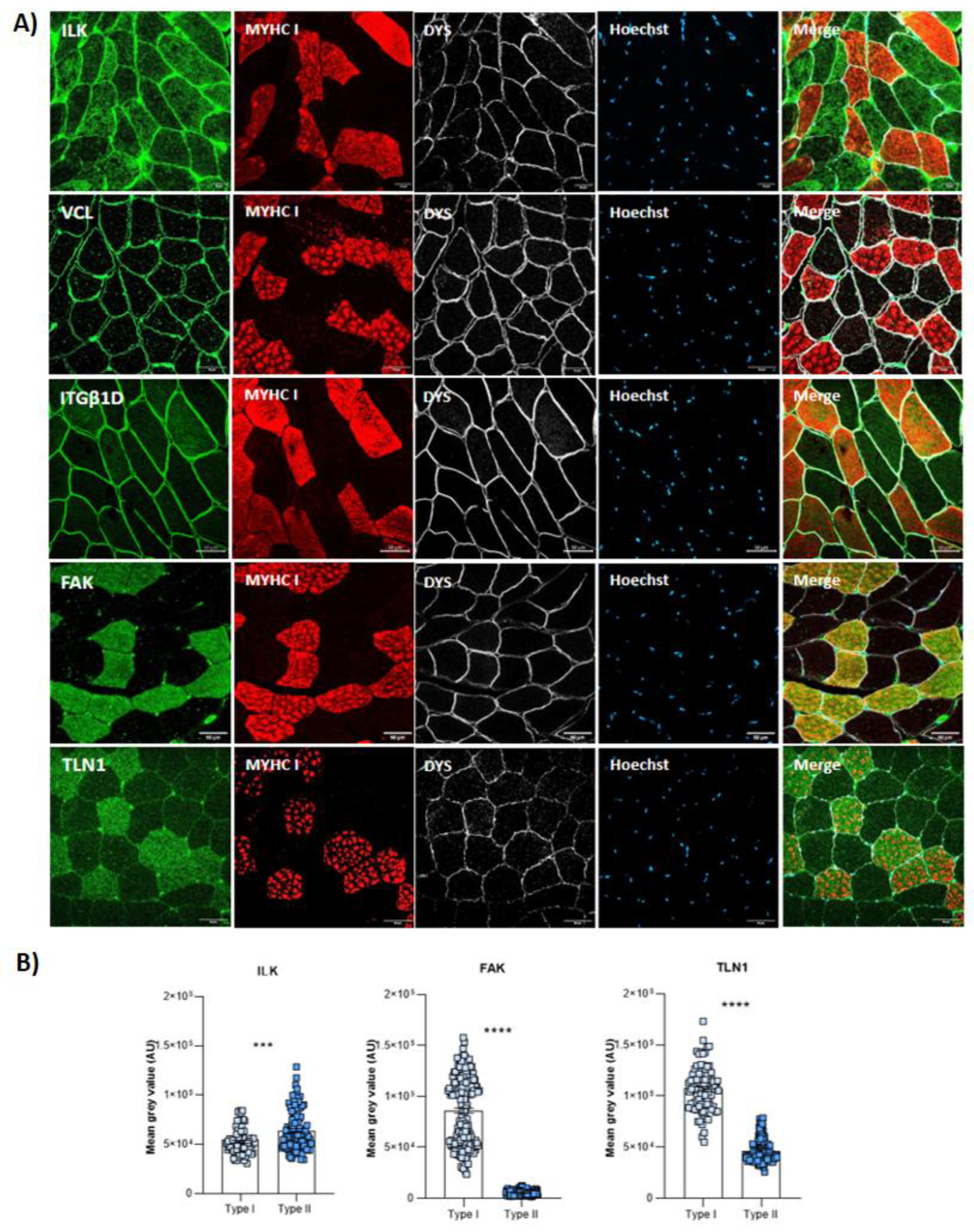 Preprints 147771 g001