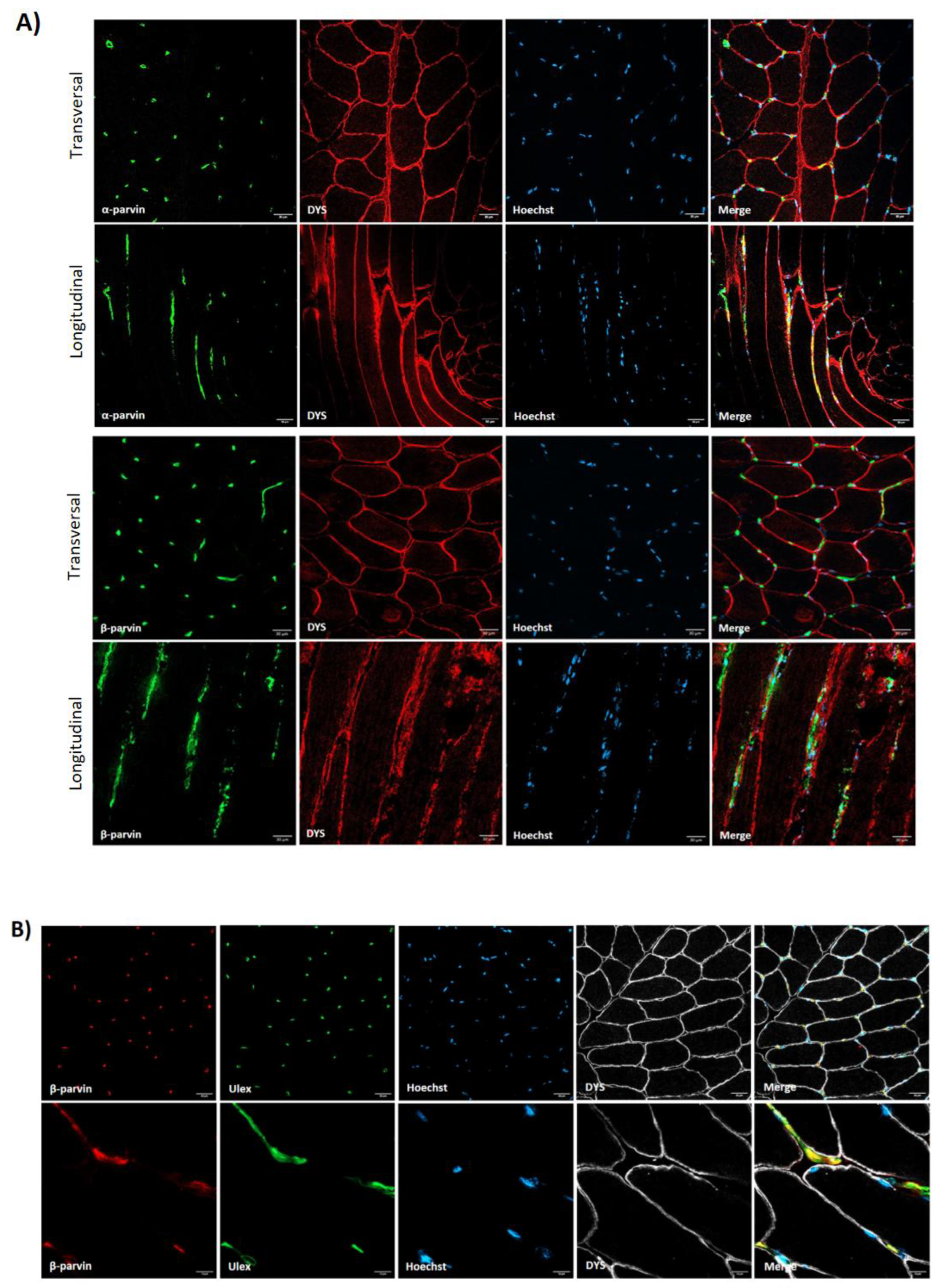 Preprints 147771 g002