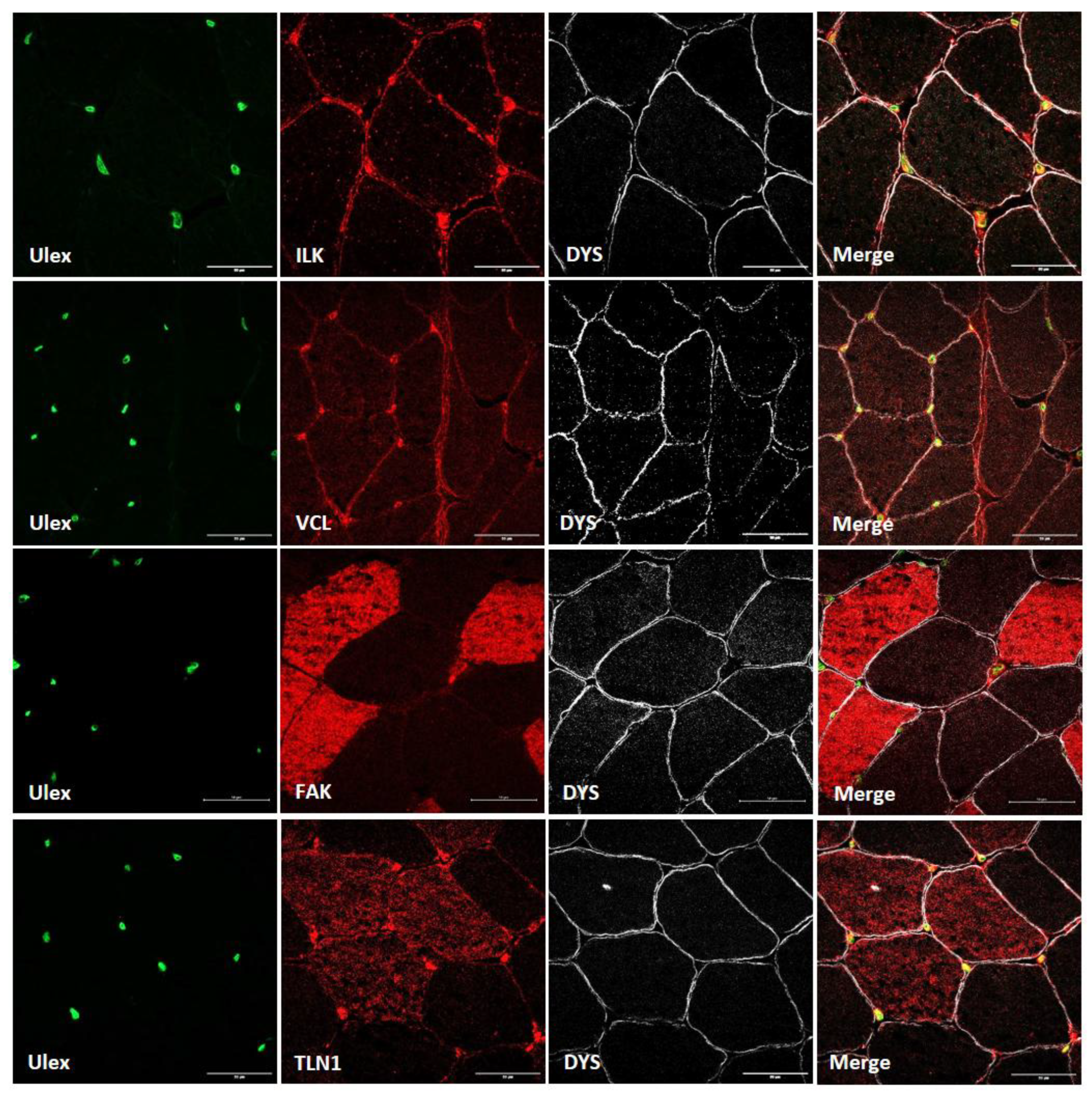 Preprints 147771 g003