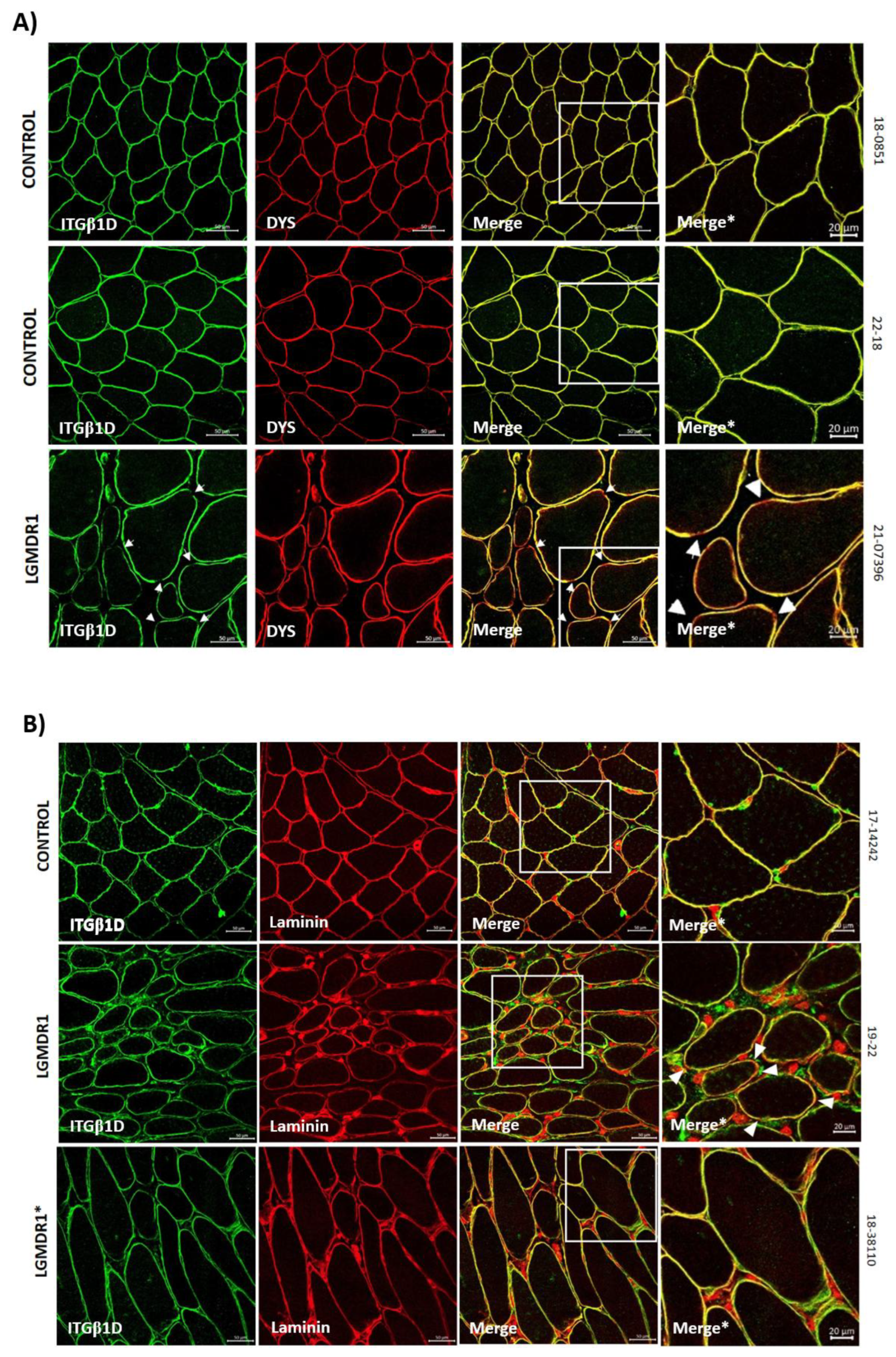 Preprints 147771 g004