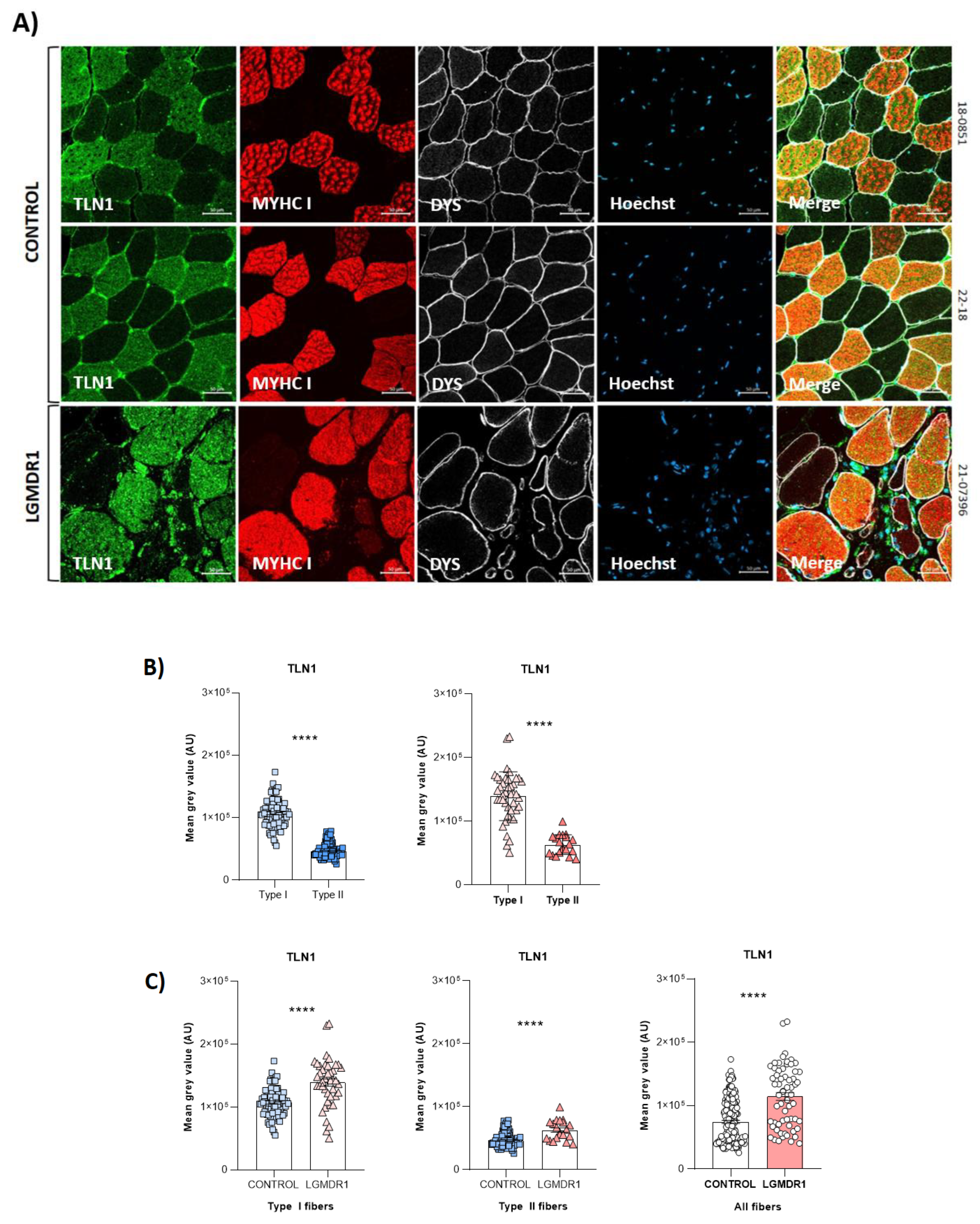Preprints 147771 g005