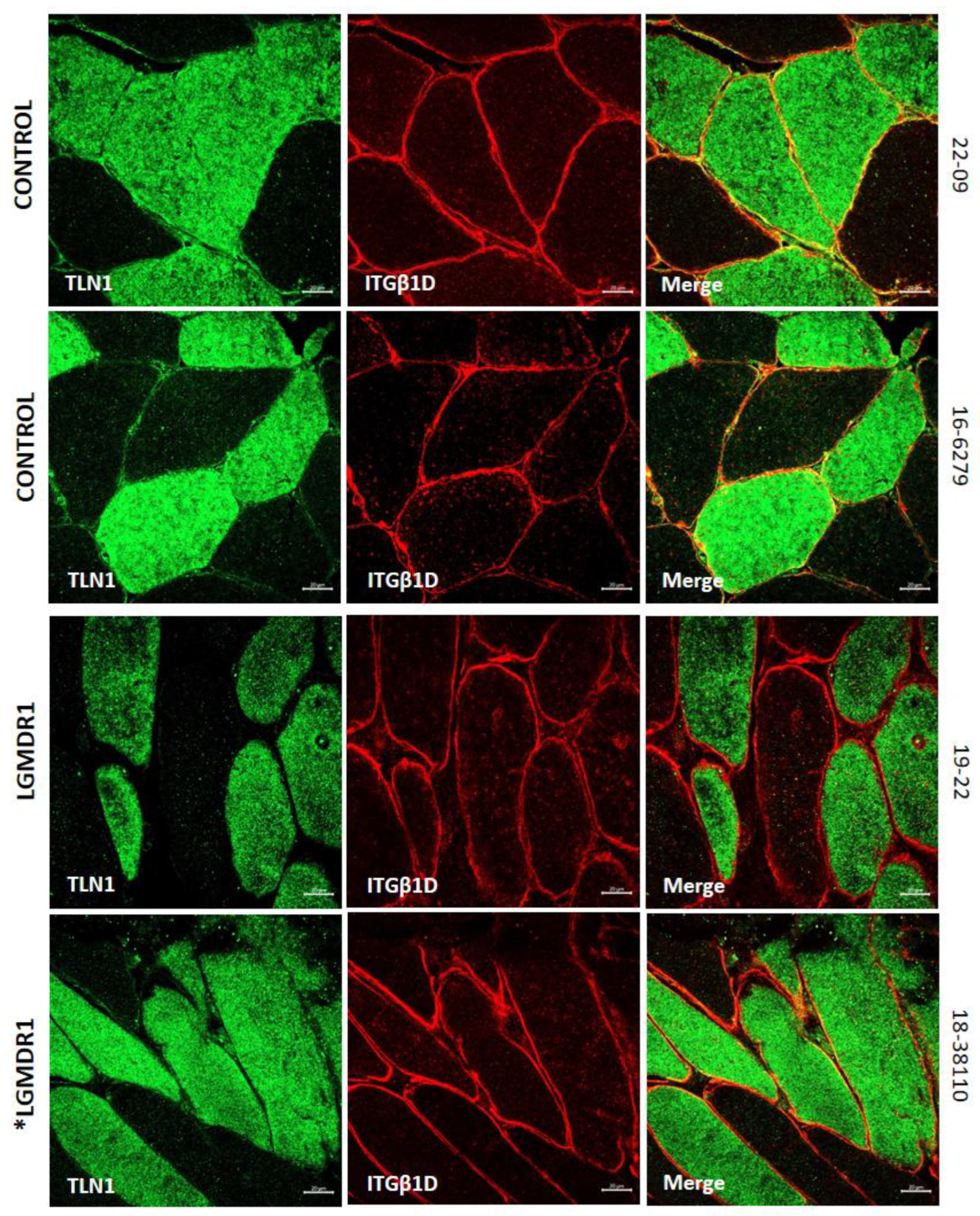 Preprints 147771 g007