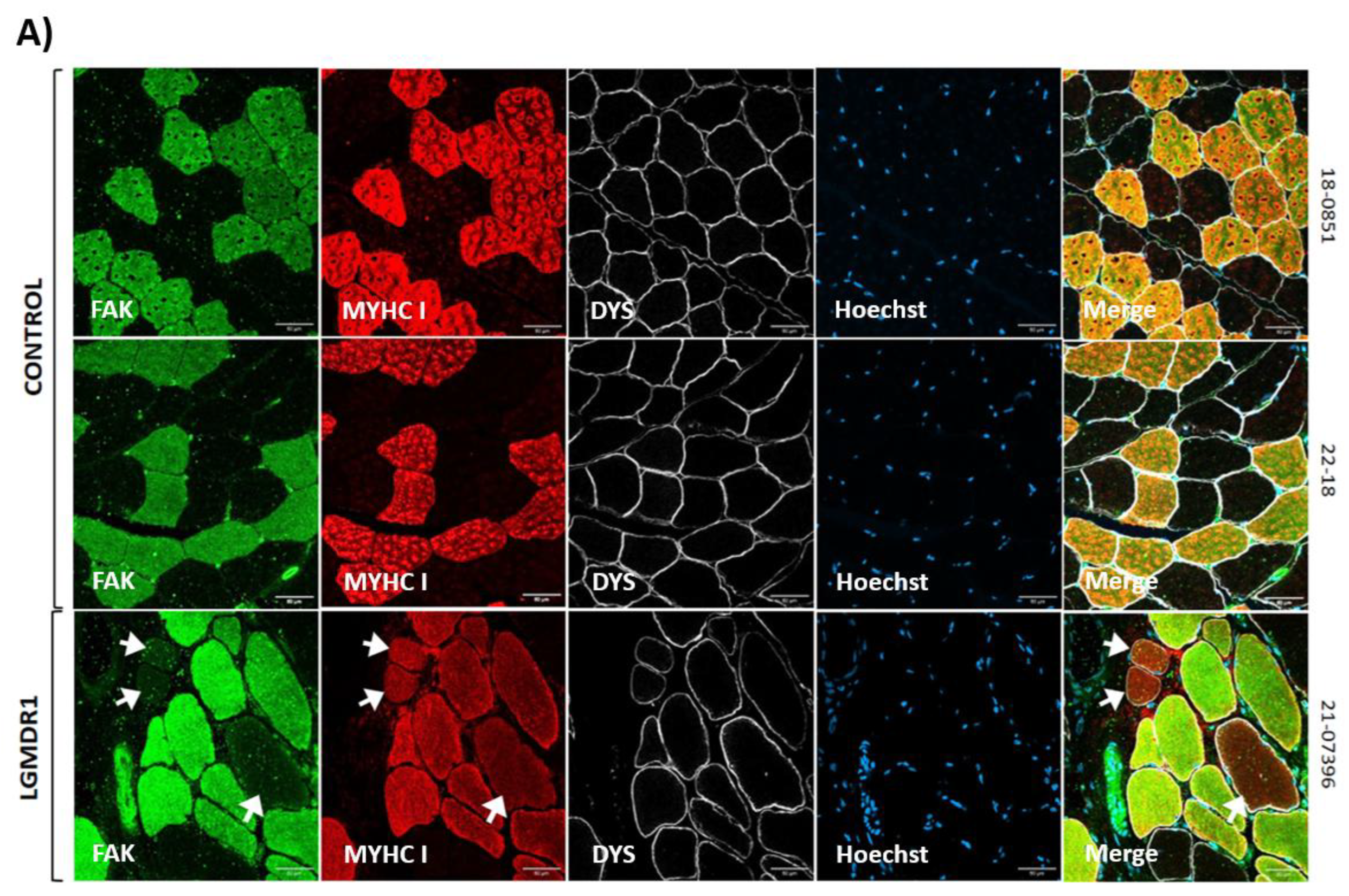 Preprints 147771 g009a