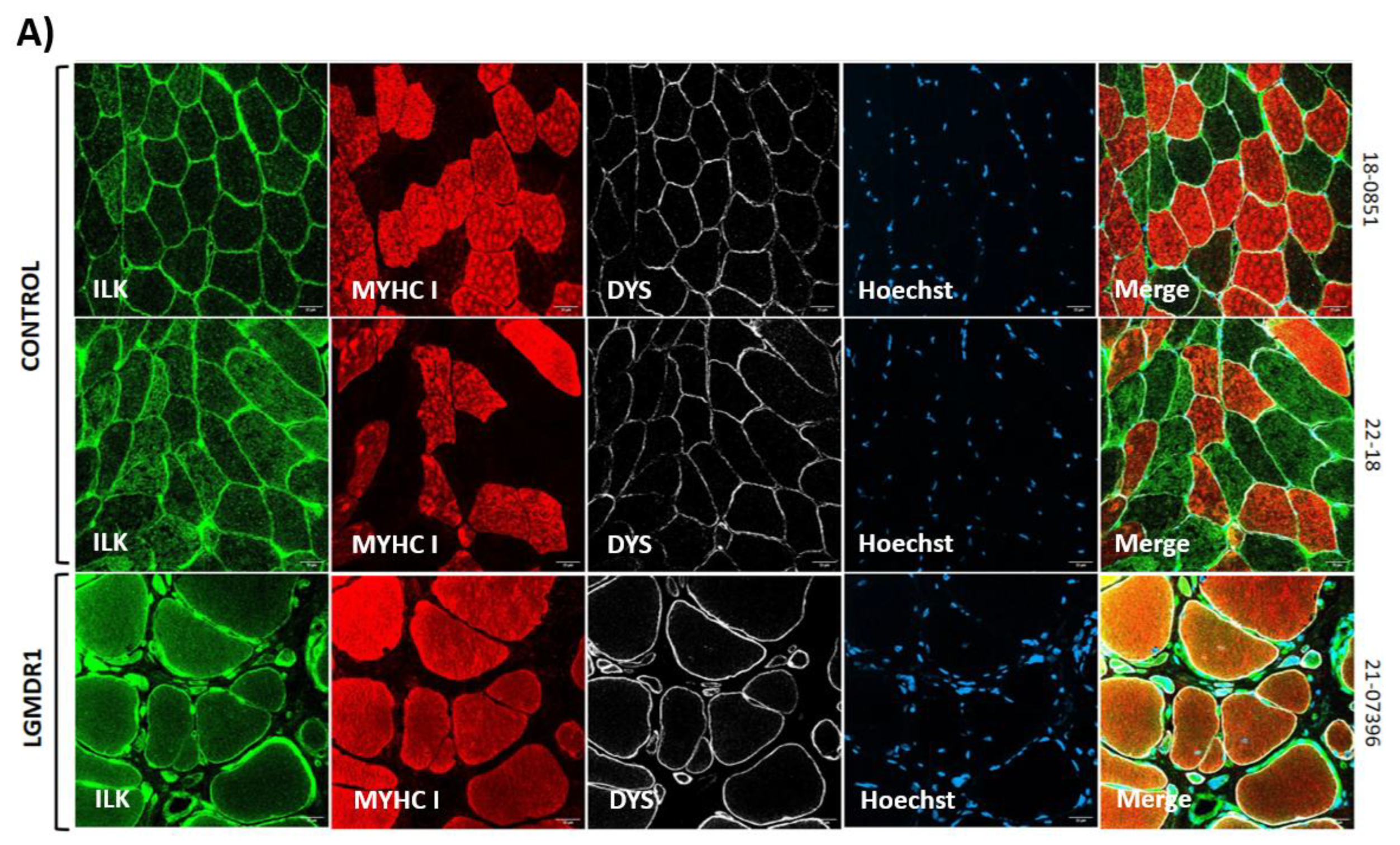 Preprints 147771 g010a
