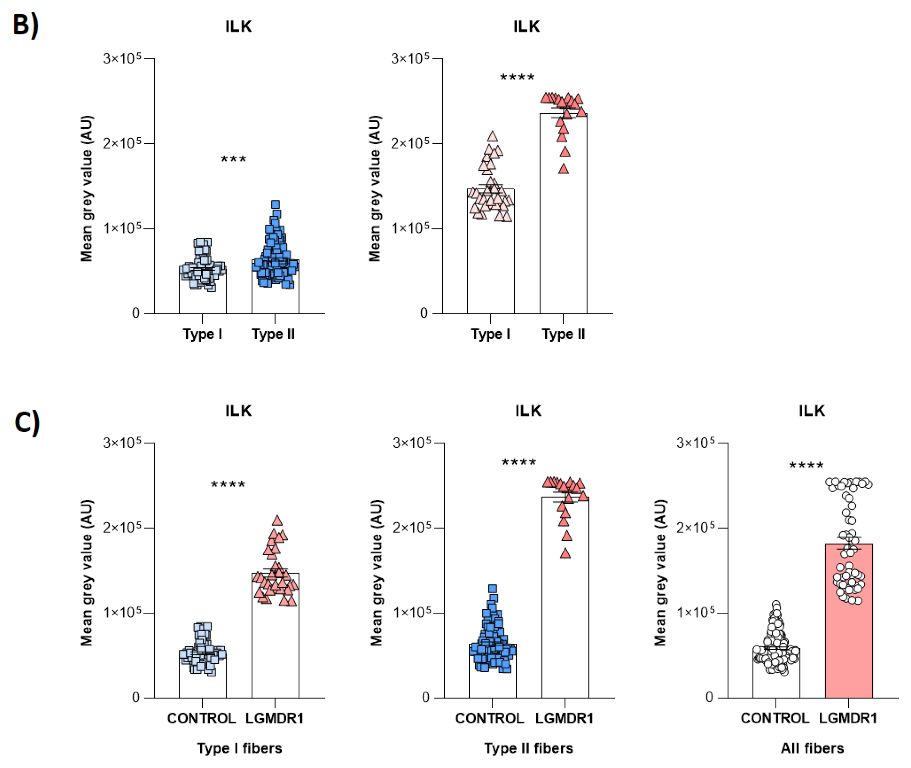 Preprints 147771 g010b