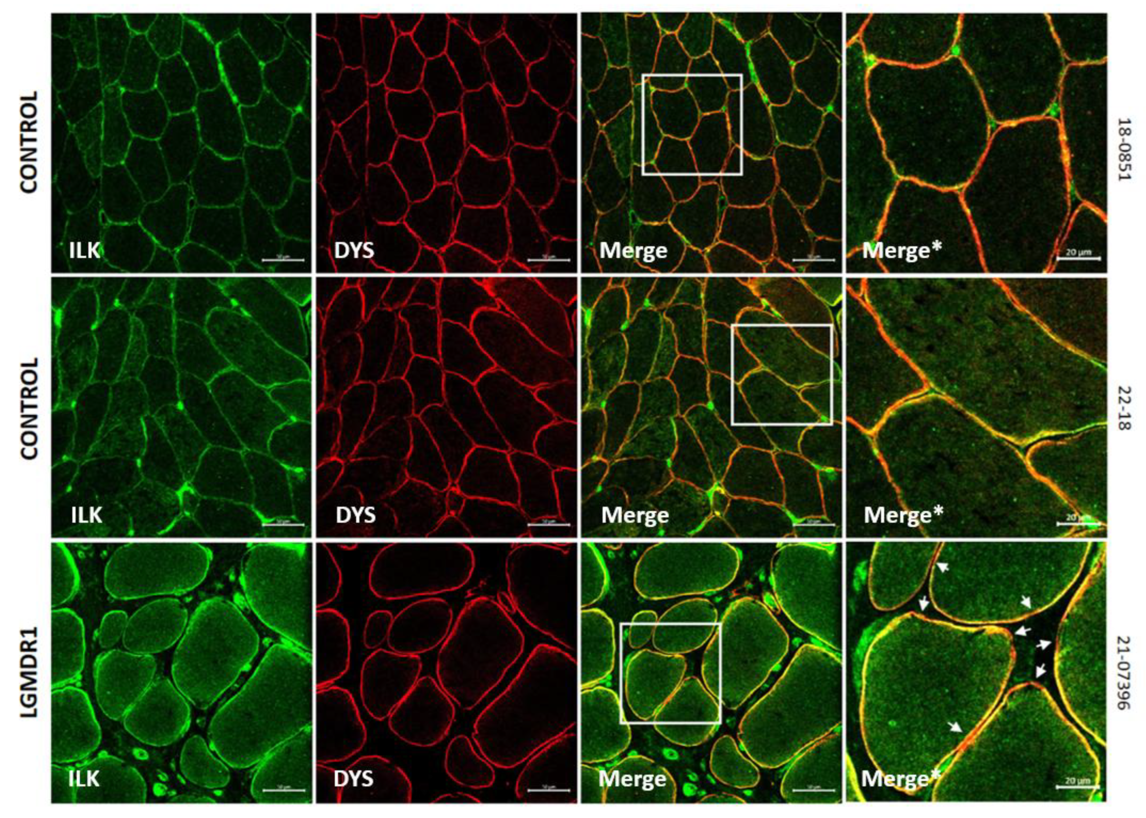 Preprints 147771 g011