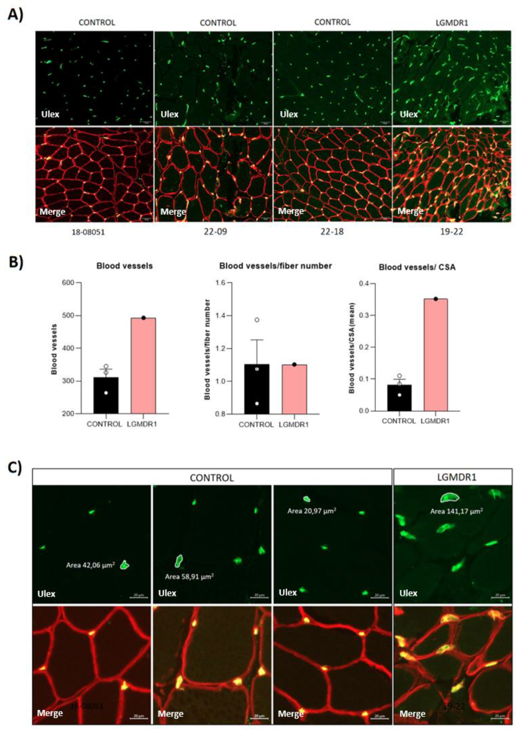 Preprints 147771 g012