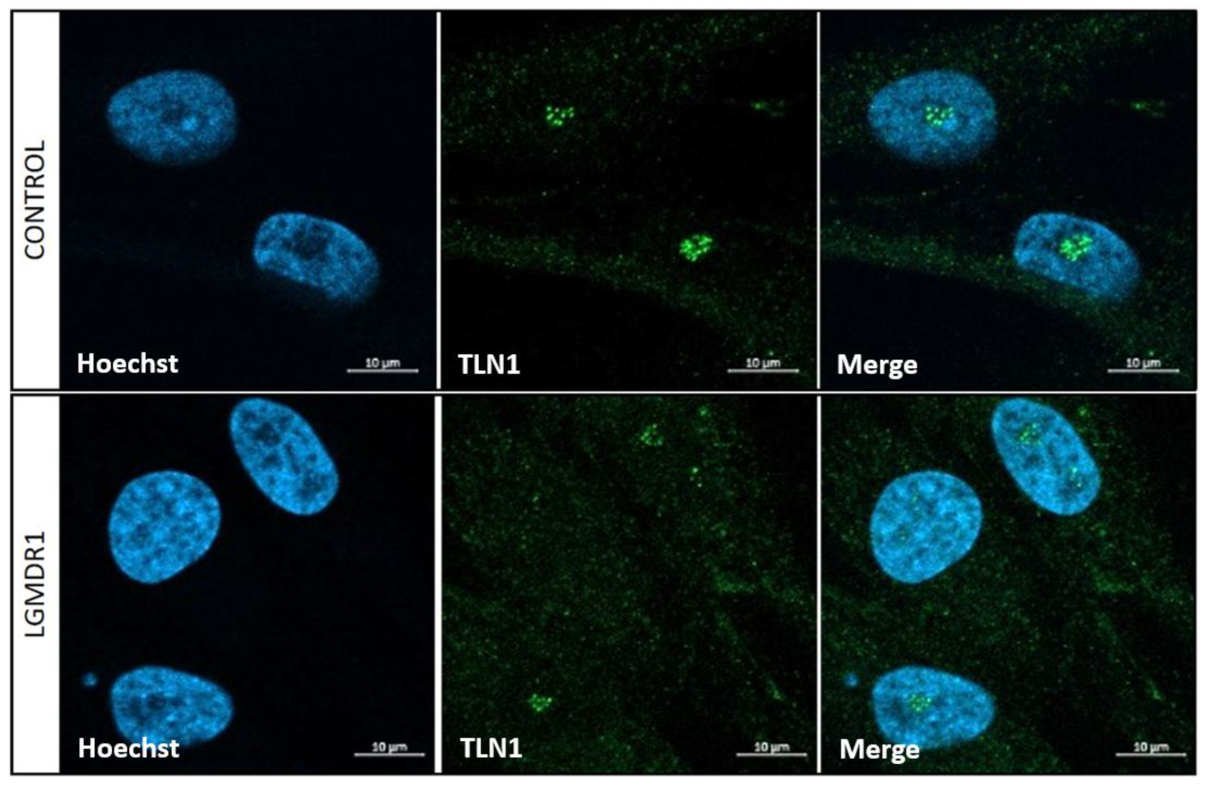 Preprints 147771 g013