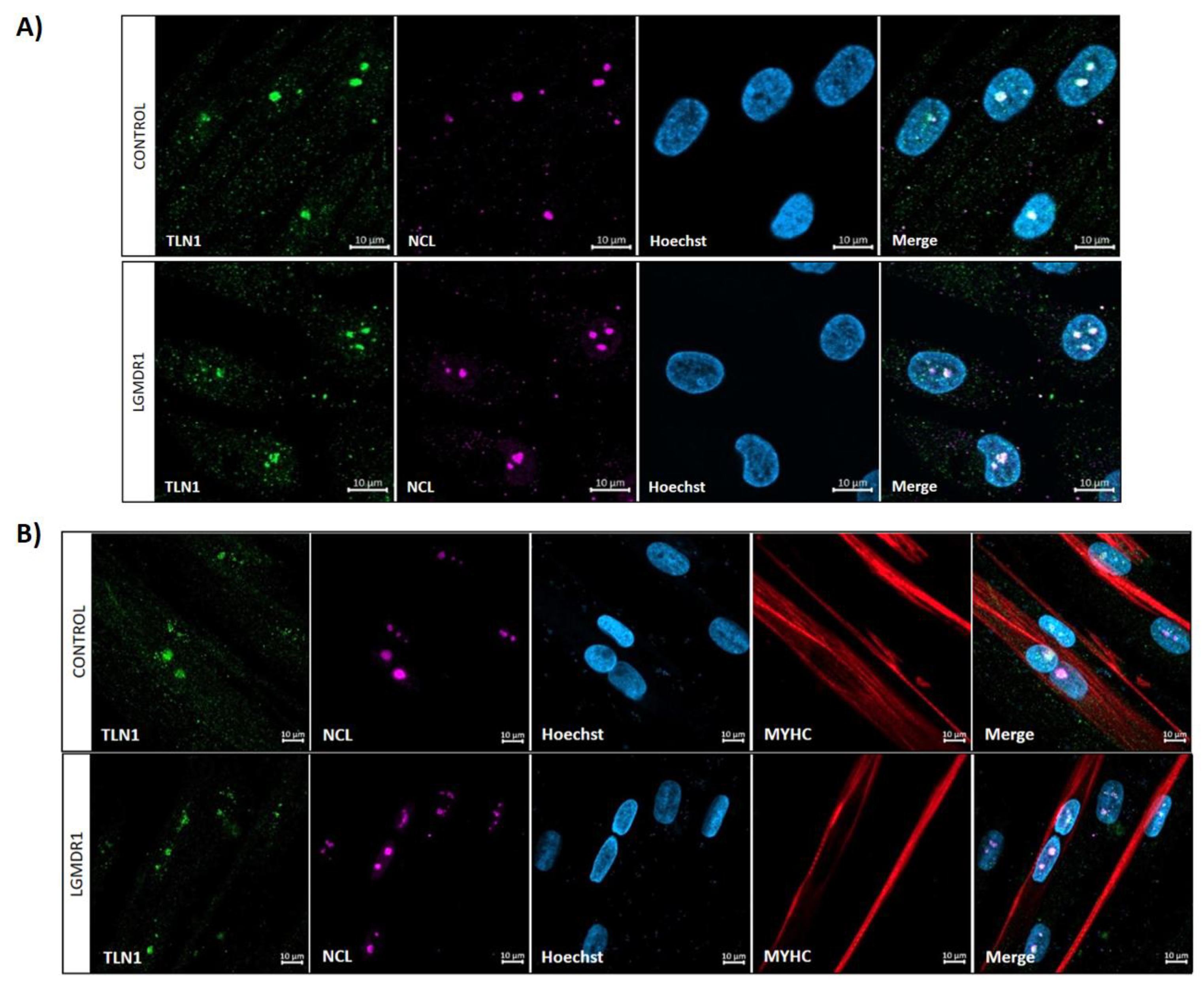 Preprints 147771 g014