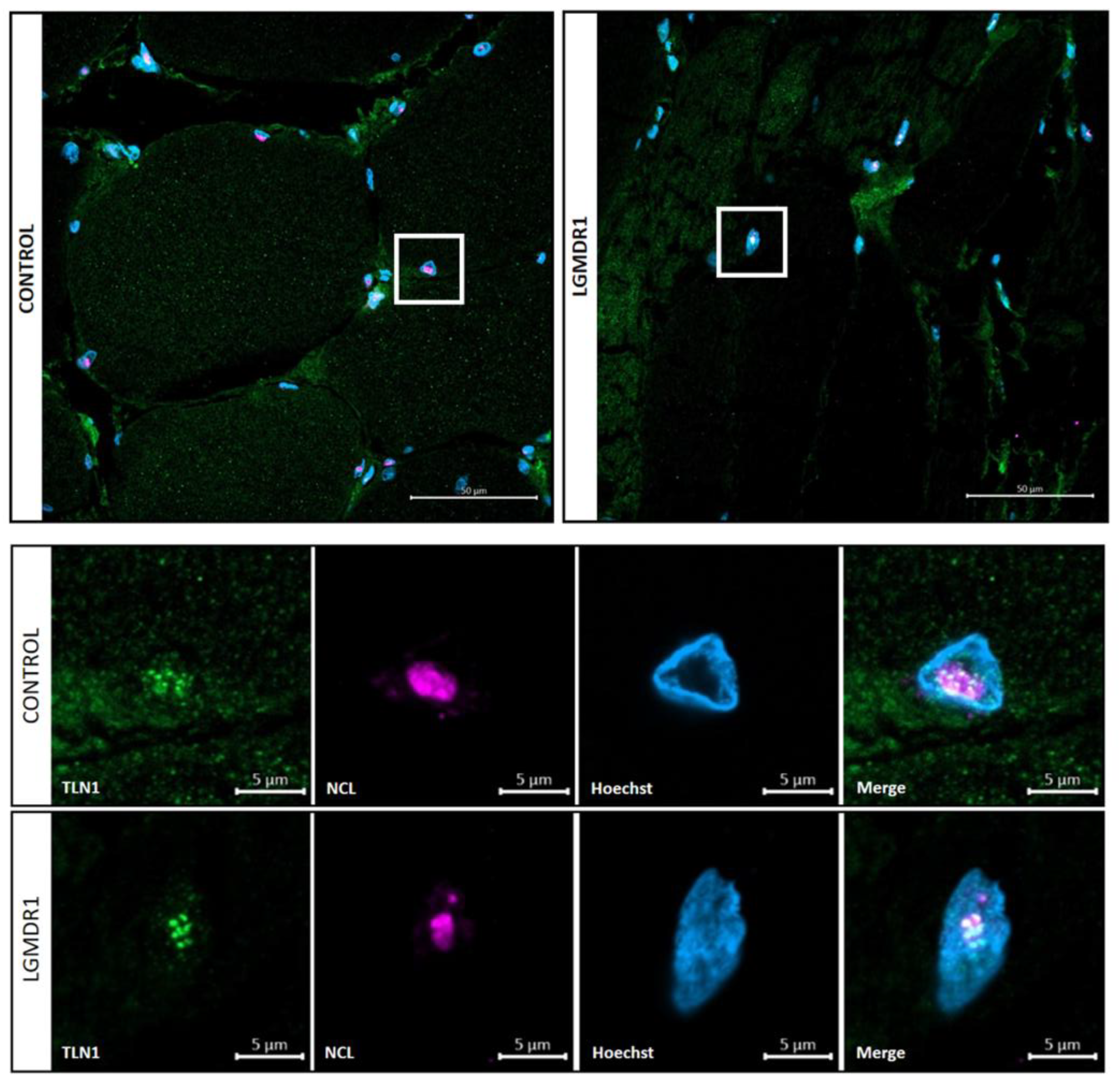 Preprints 147771 g016