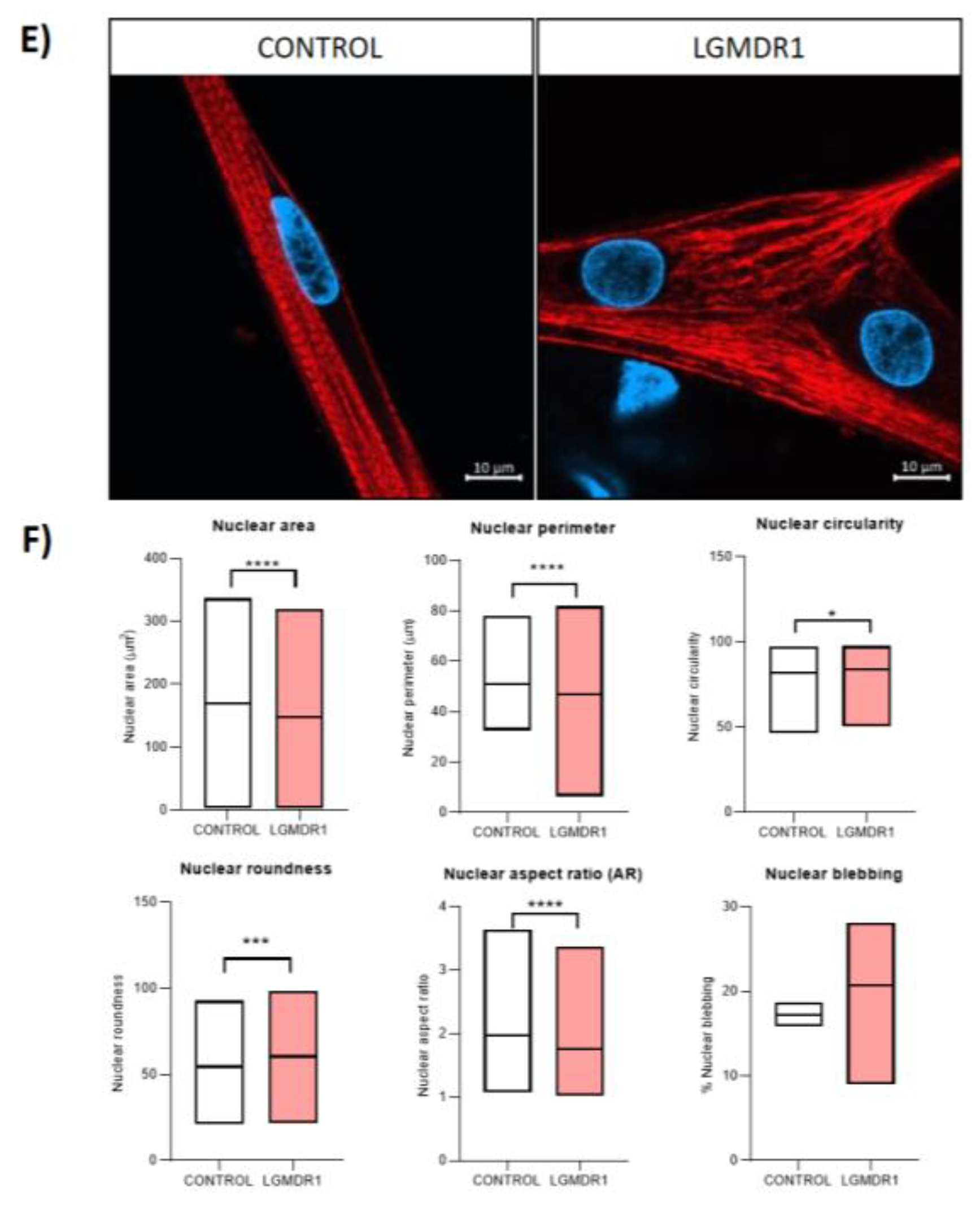 Preprints 147771 g017b