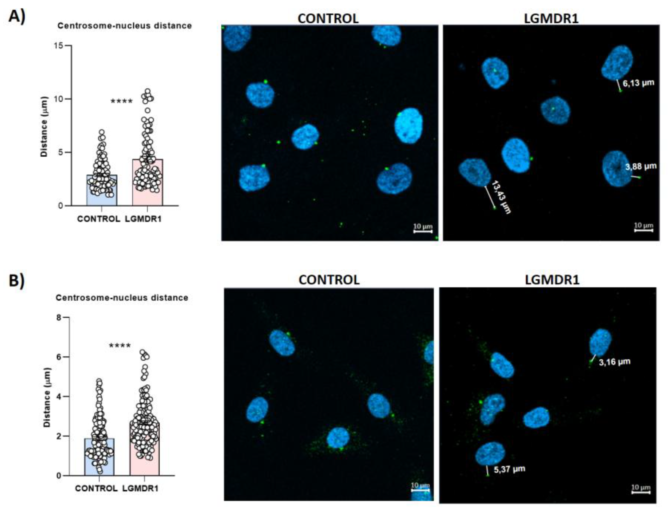 Preprints 147771 g020