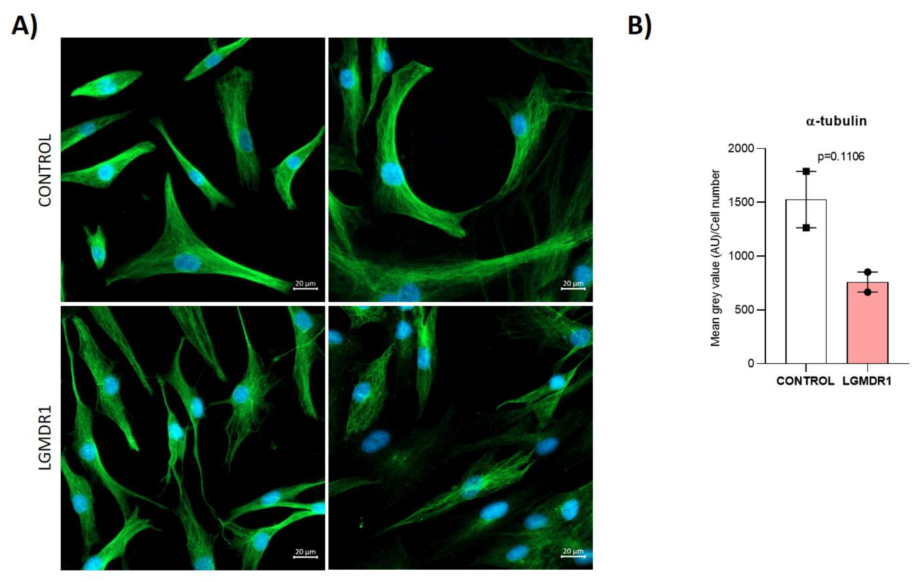 Preprints 147771 g021