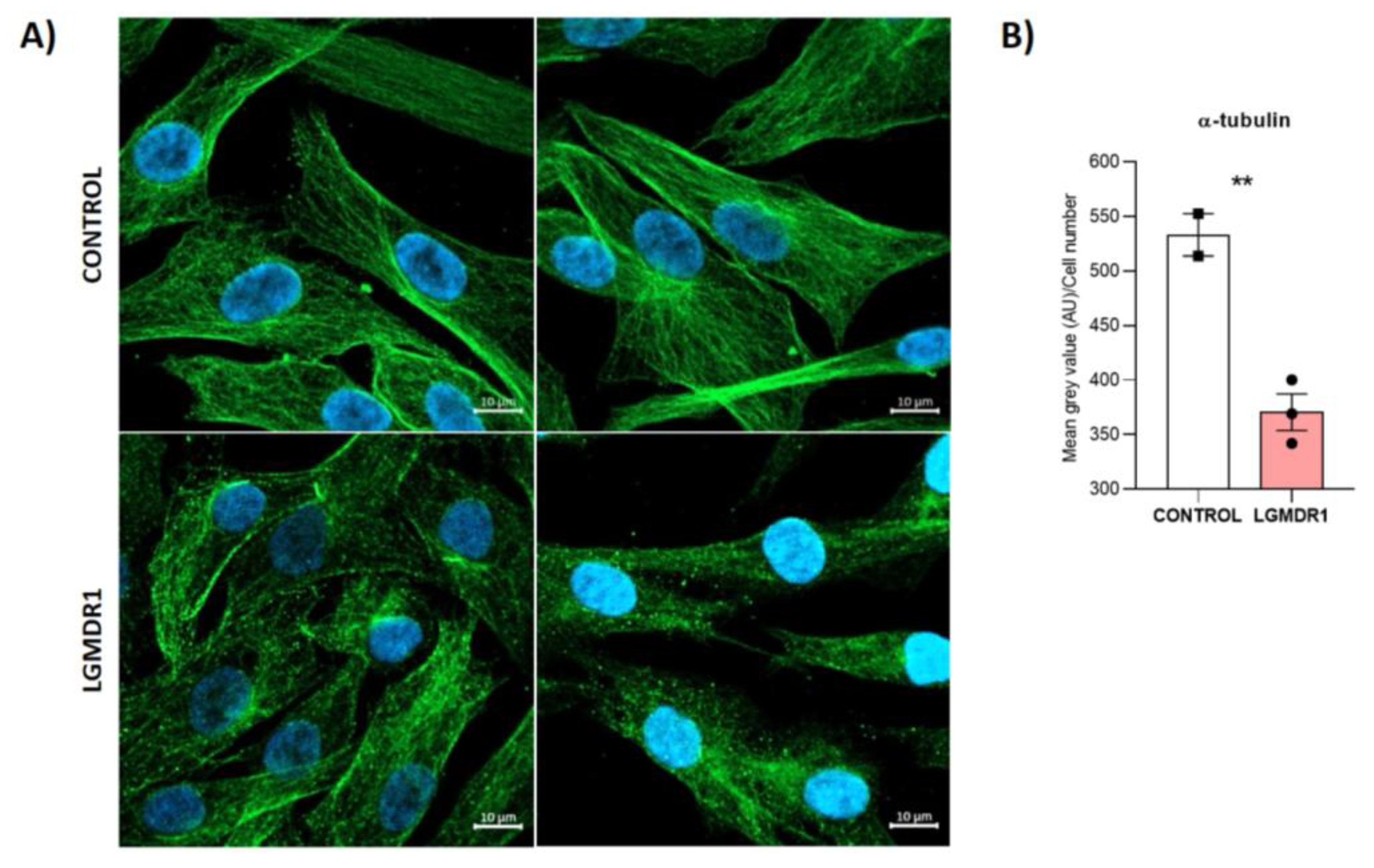 Preprints 147771 g022
