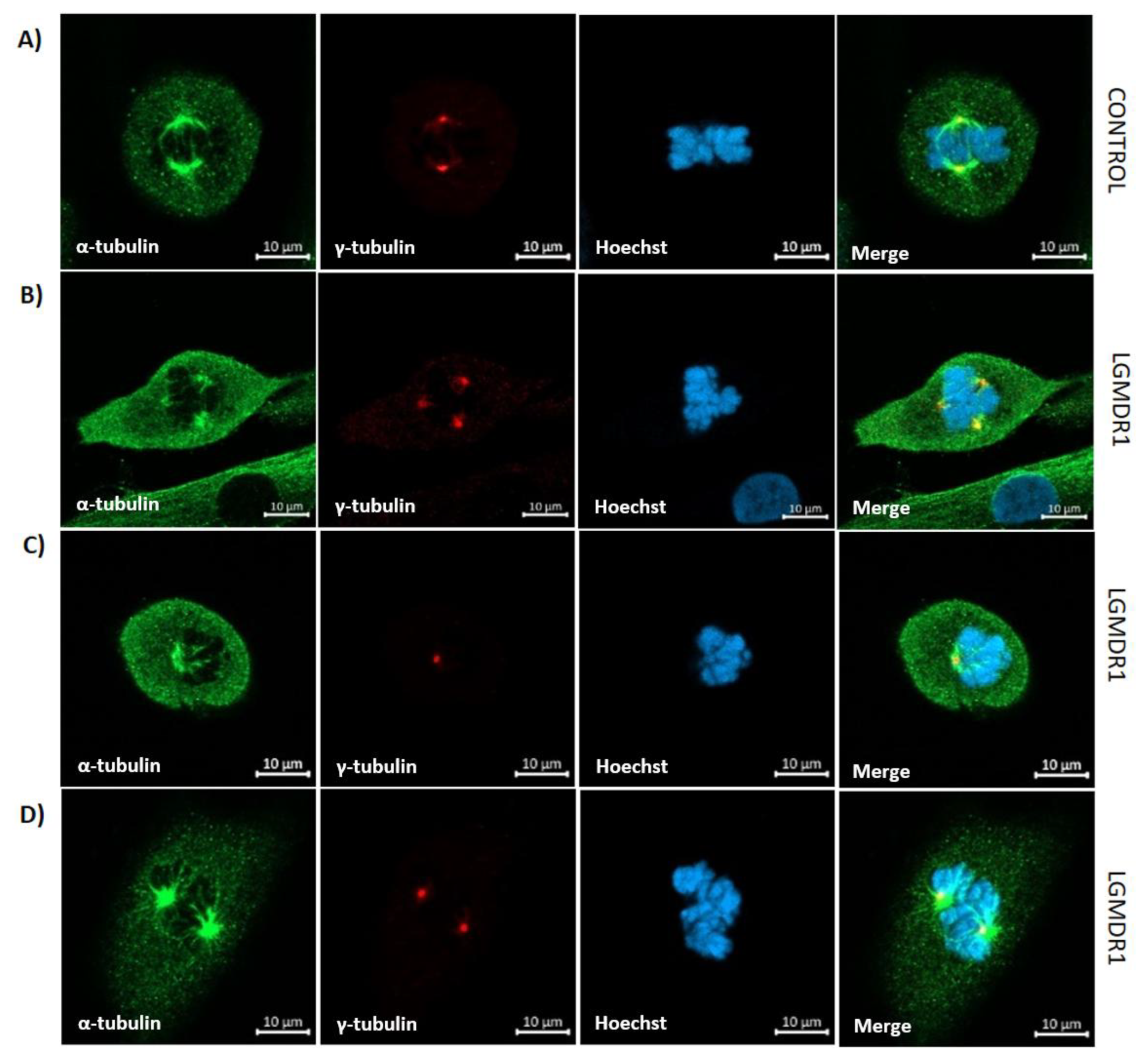 Preprints 147771 g024