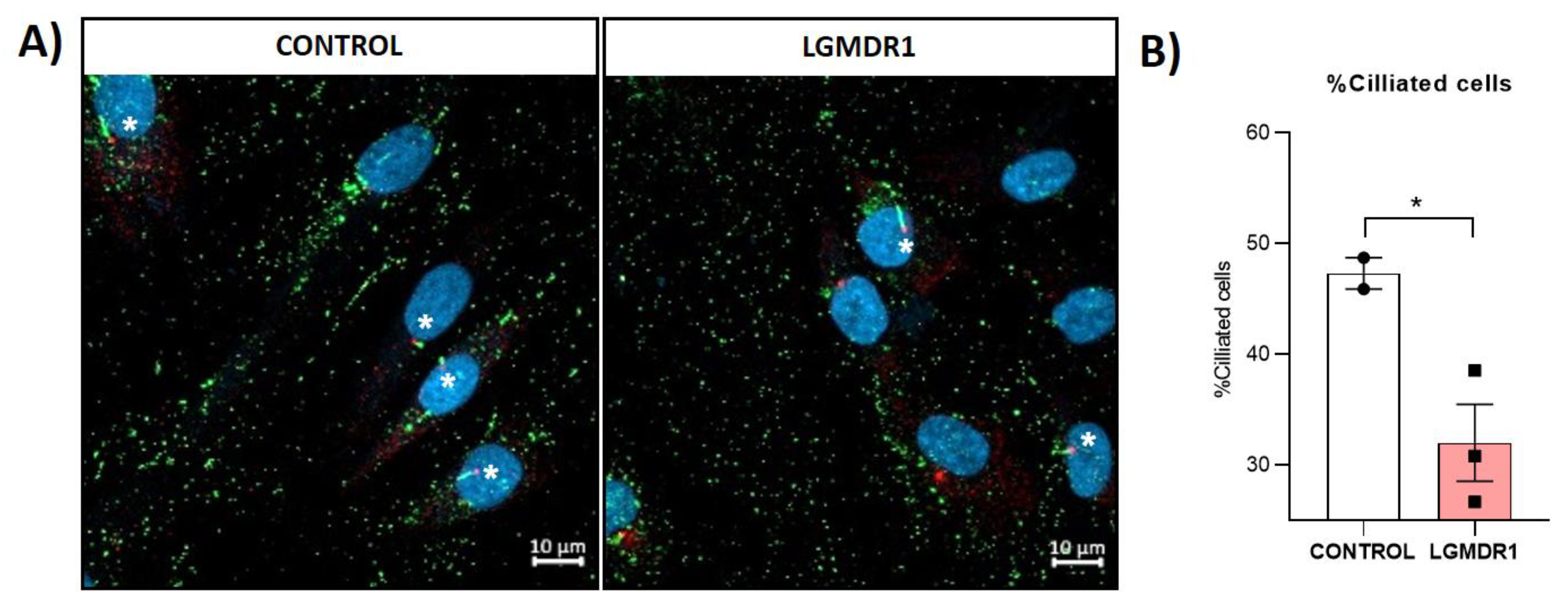Preprints 147771 g025