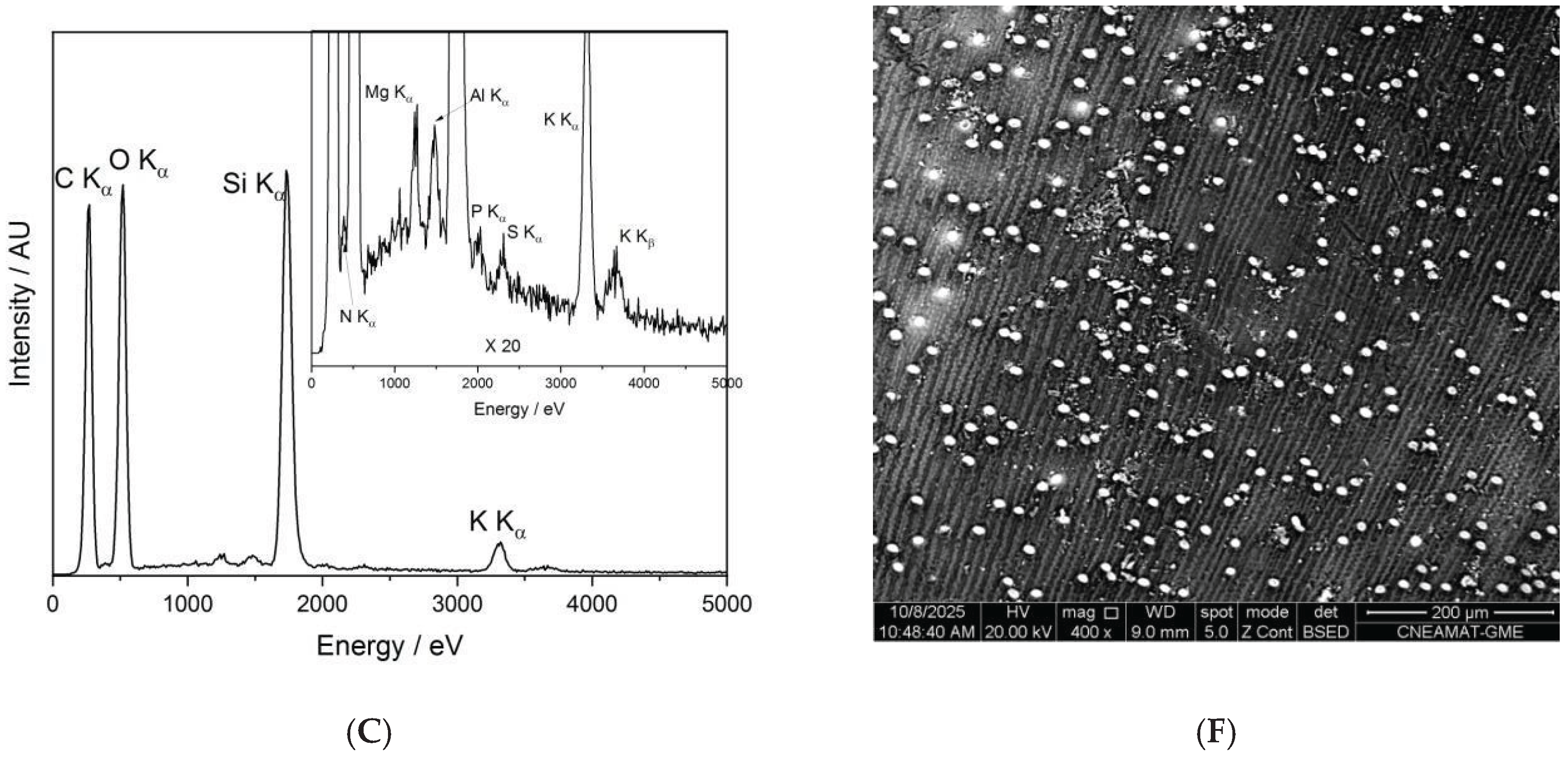 Preprints 183512 g007b