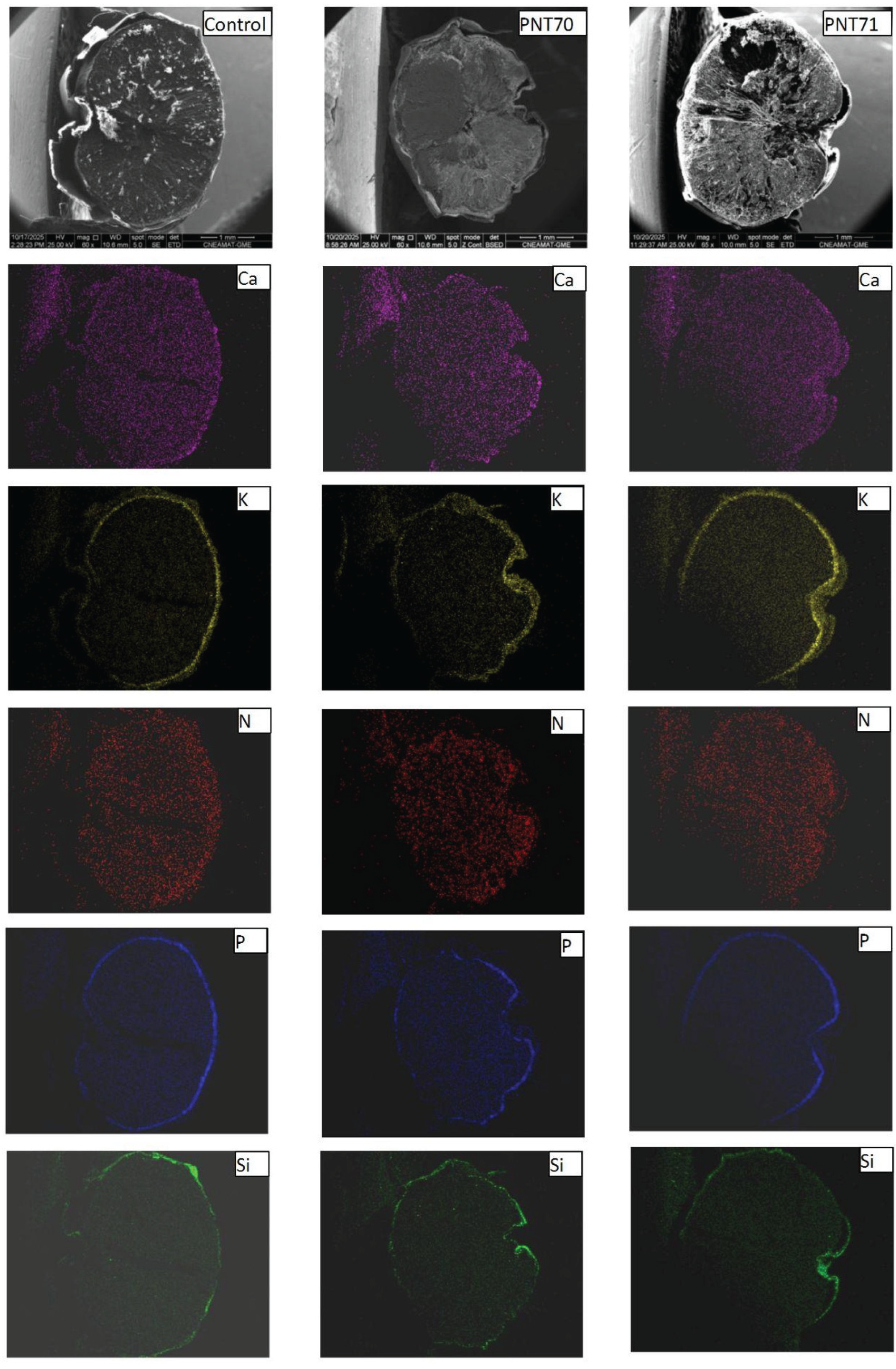 Preprints 183512 g008