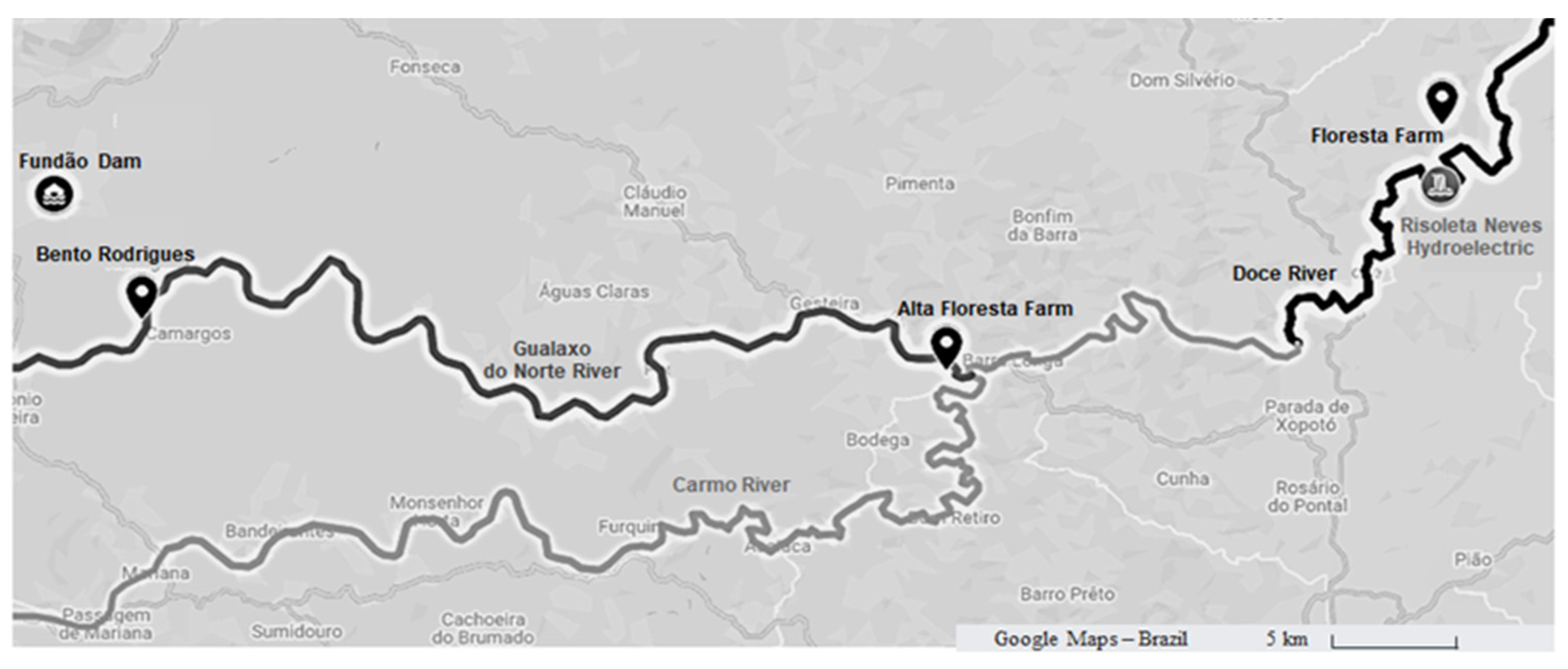 Preprints 93055 g002