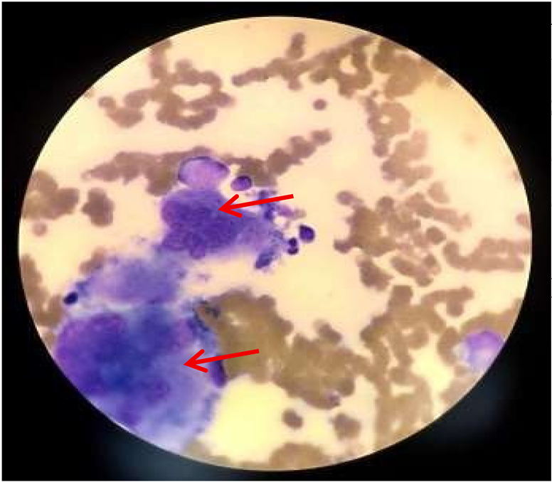 Preprints 196761 i001