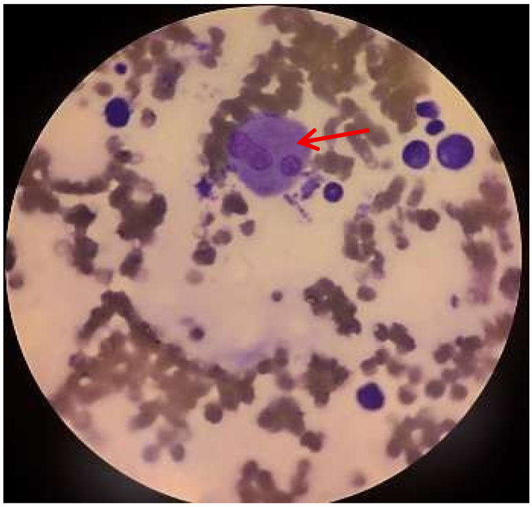 Preprints 196761 i002