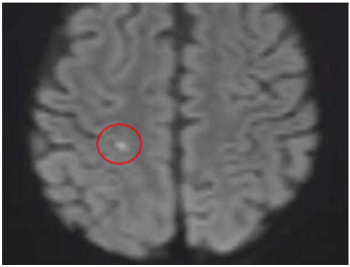 Preprints 196761 i003