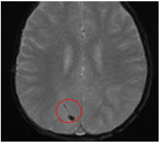 Preprints 196761 i004