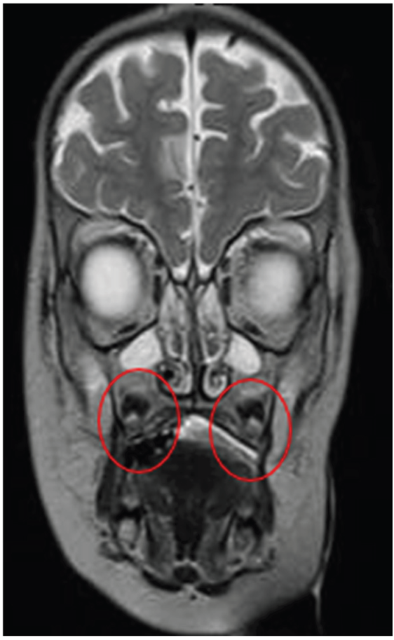 Preprints 196761 i007