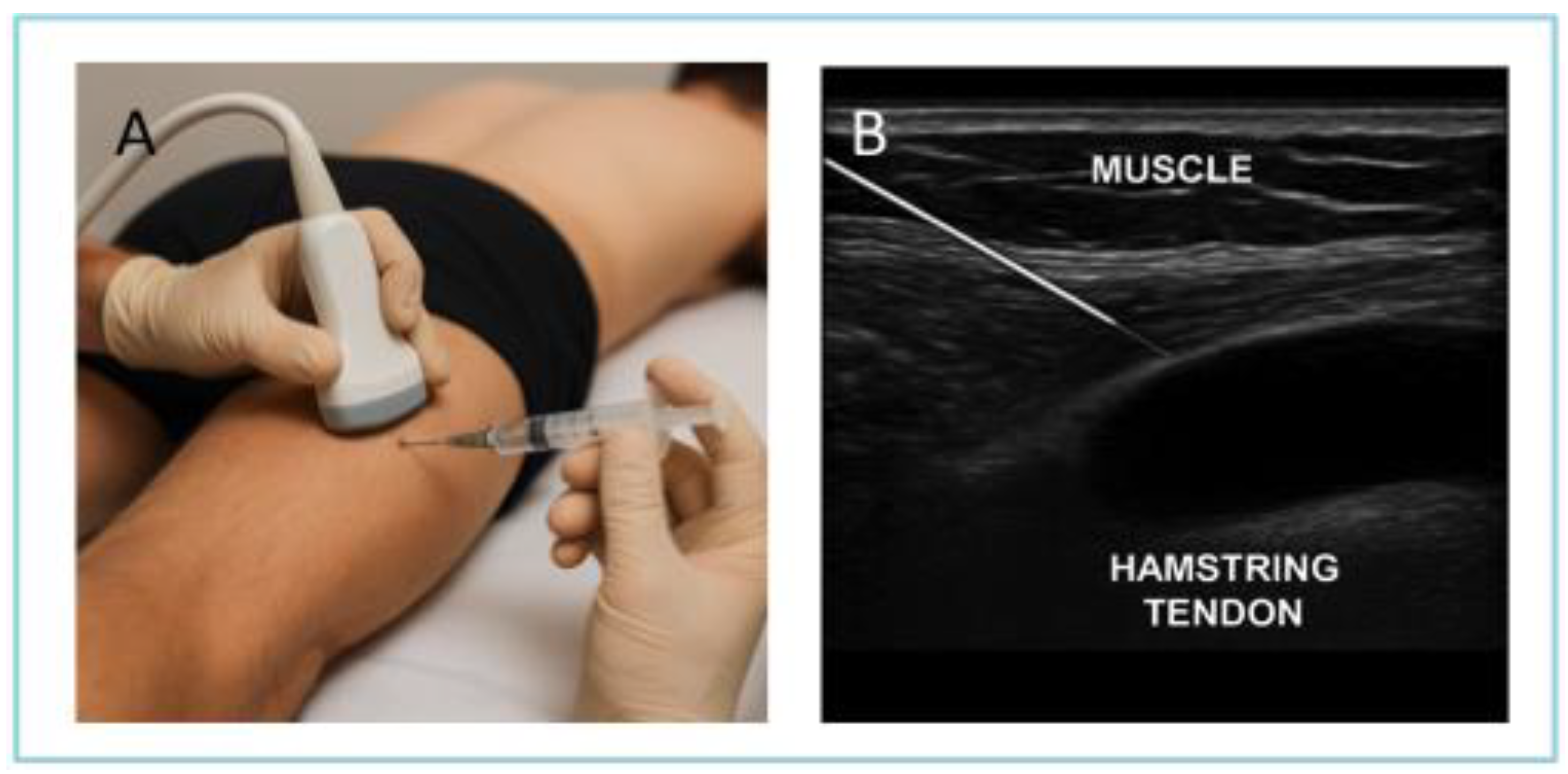 Preprints 169545 g001