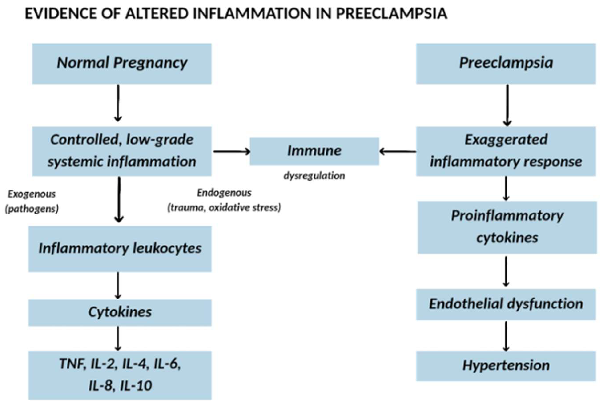 Preprints 193336 g002