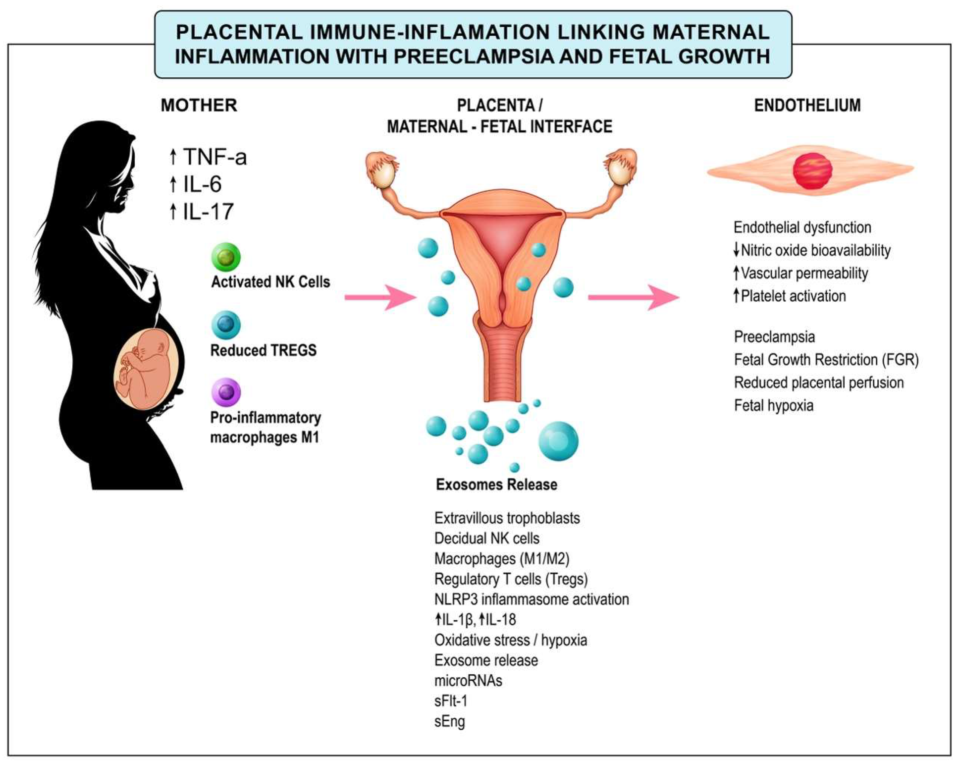 Preprints 193336 g003