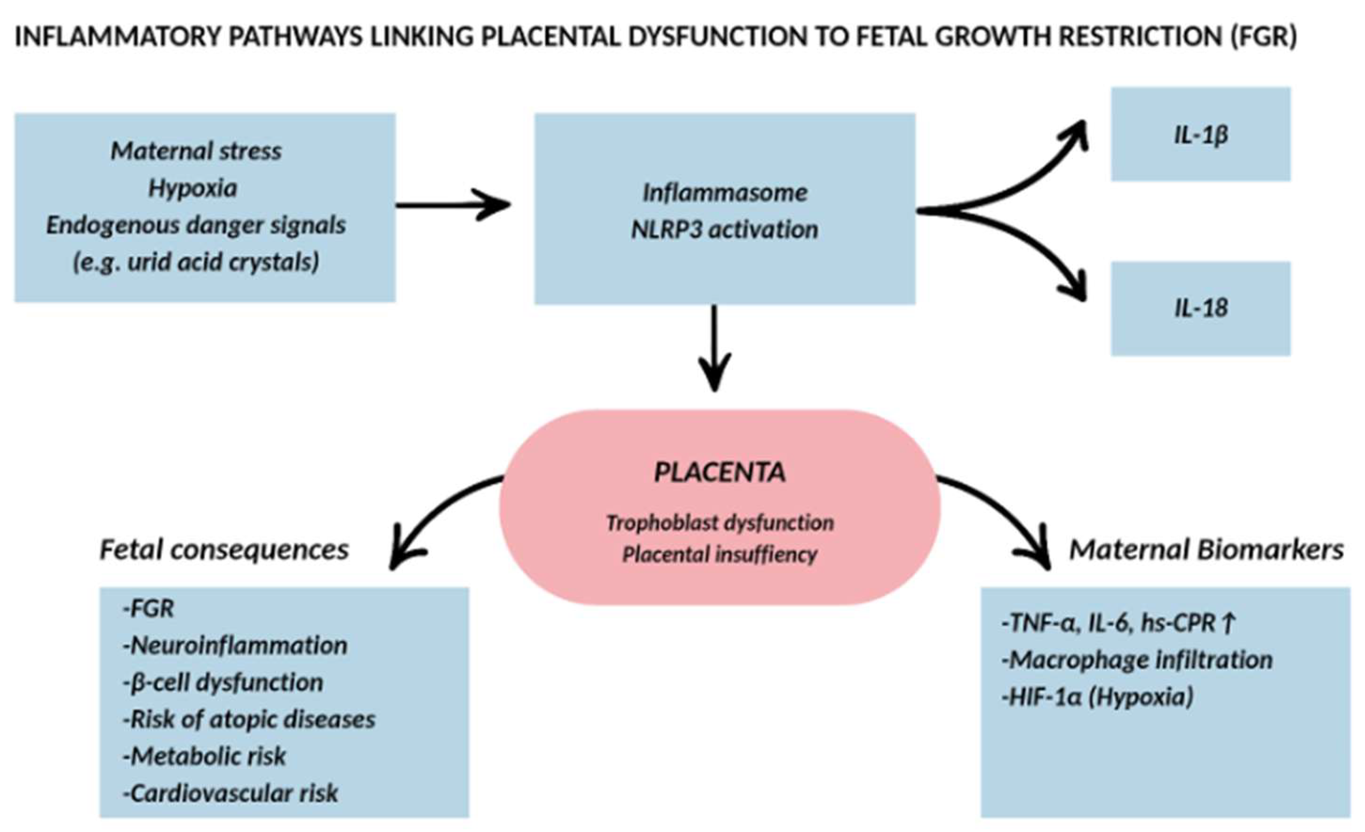 Preprints 193336 g004