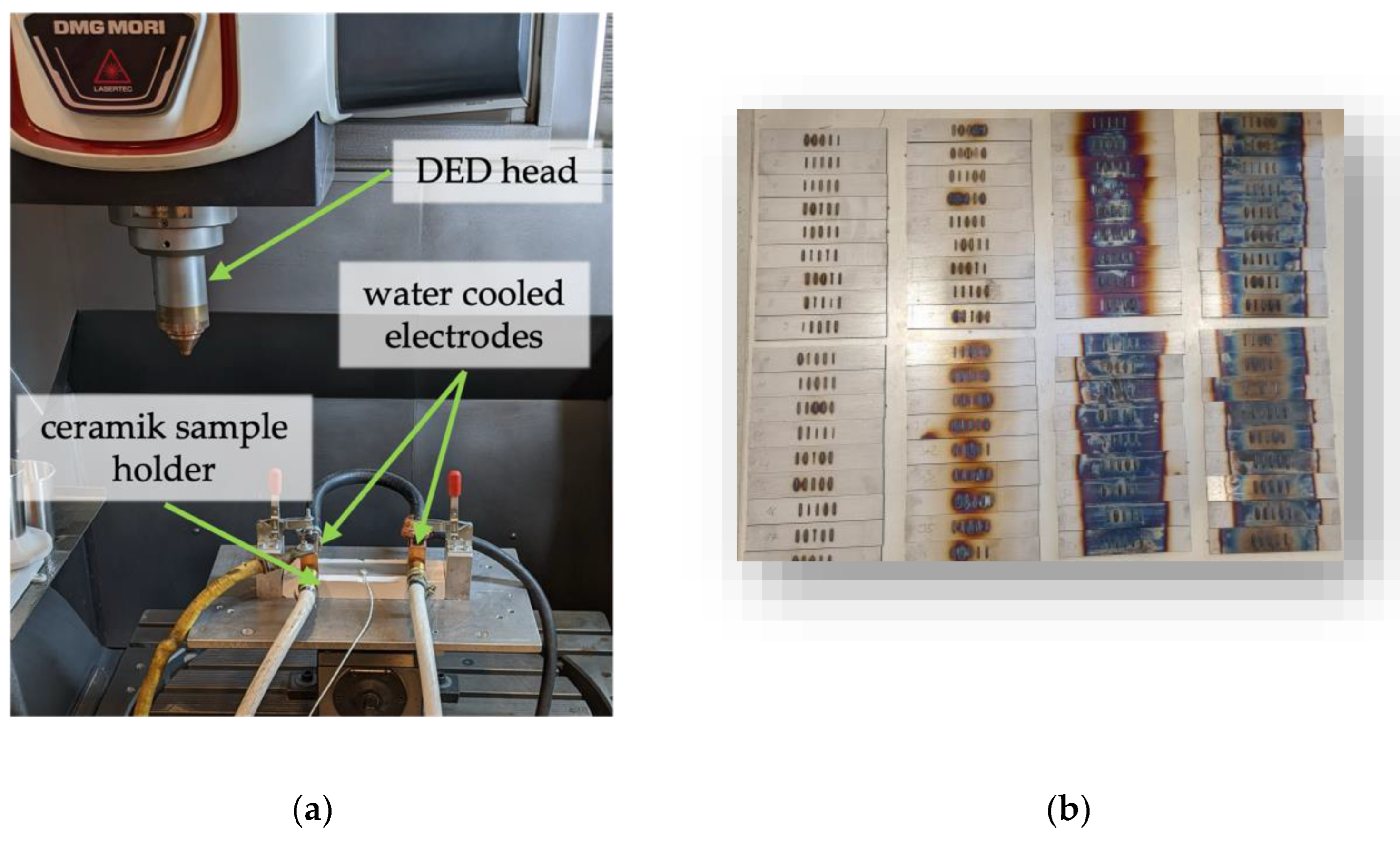 Preprints 104615 g002
