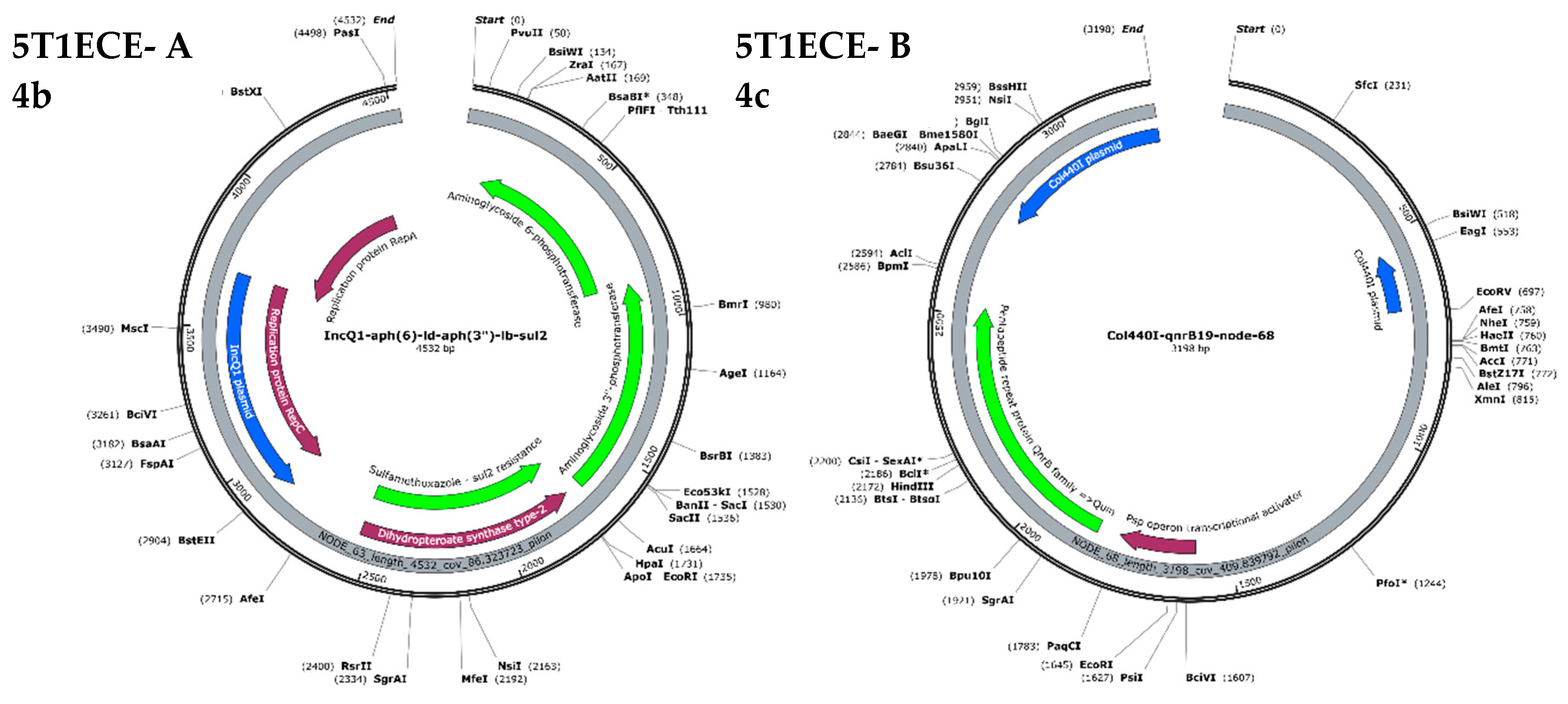 Preprints 192769 g007