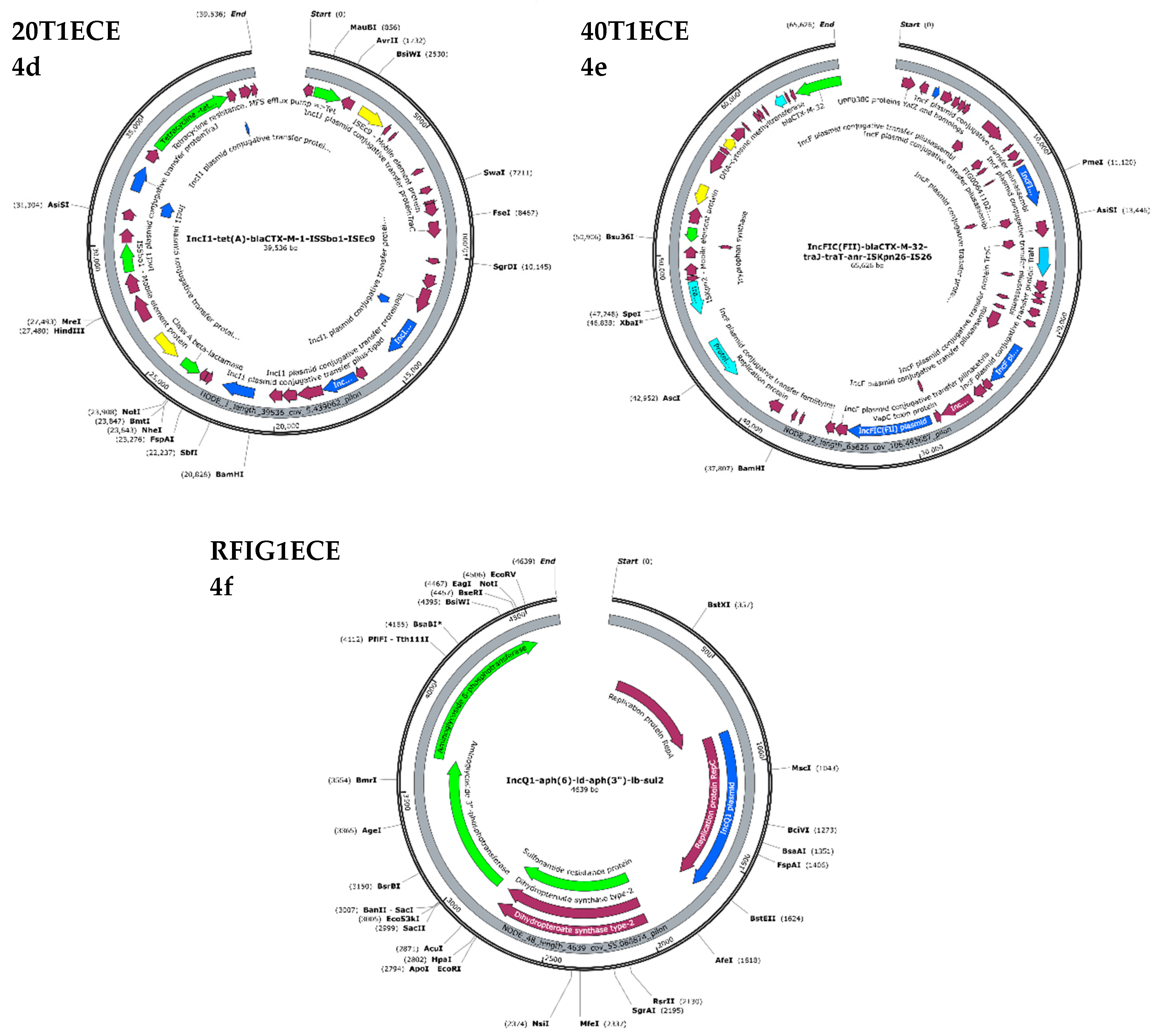 Preprints 192769 g008