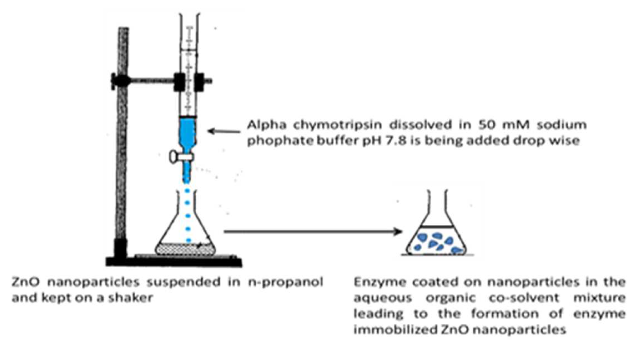 Preprints 151364 g001