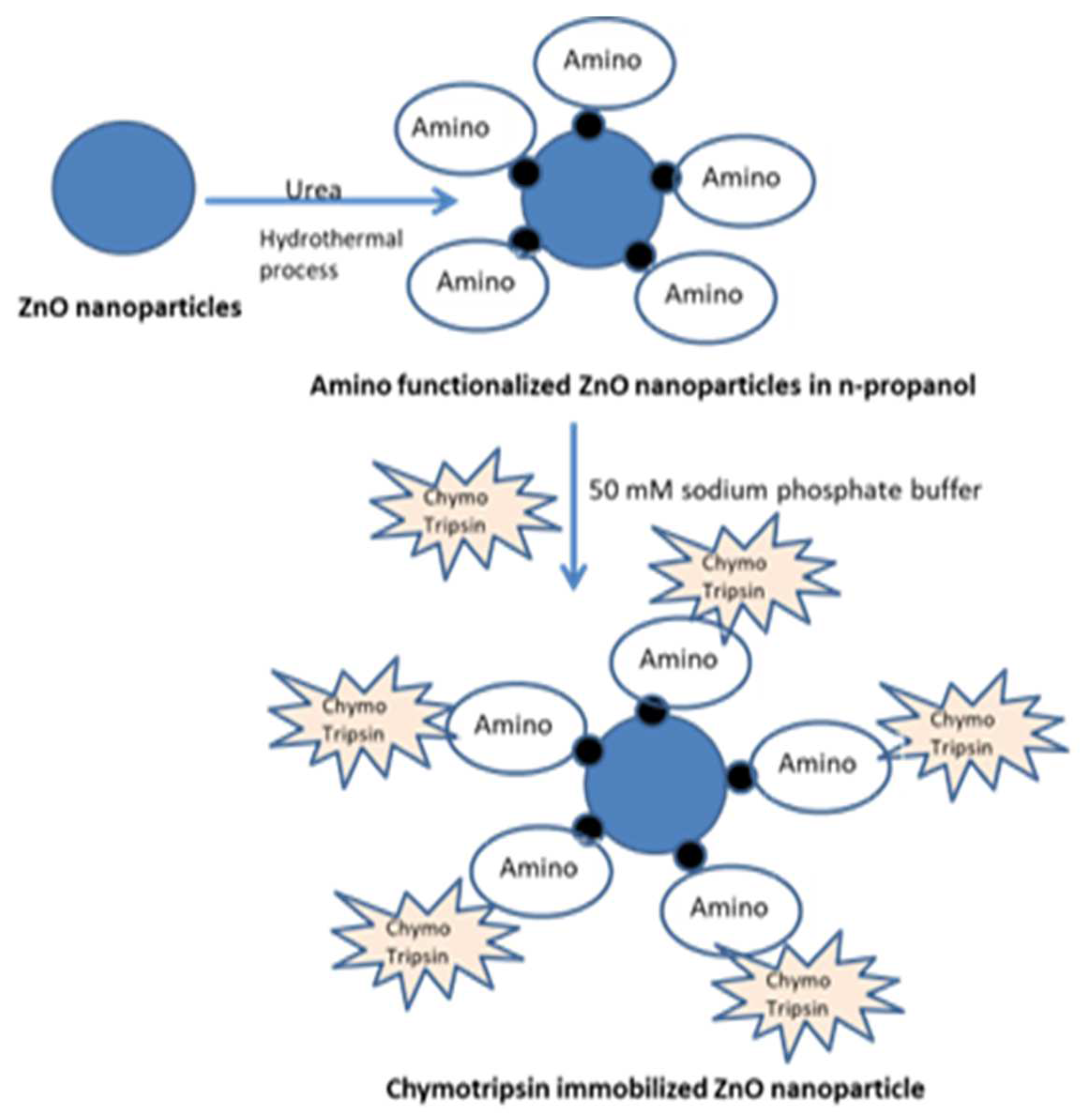 Preprints 151364 g002