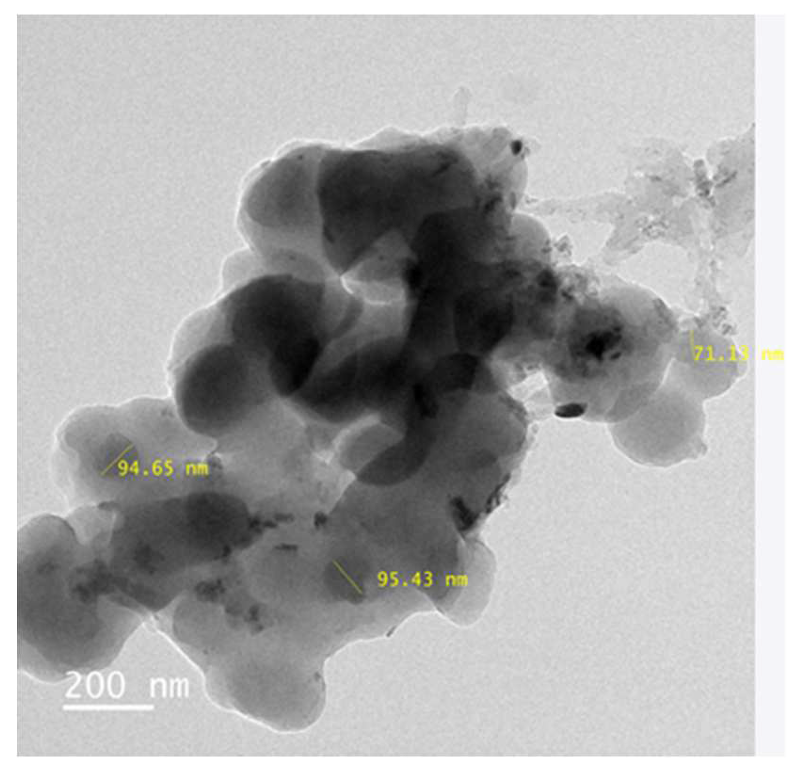 Preprints 151364 g008